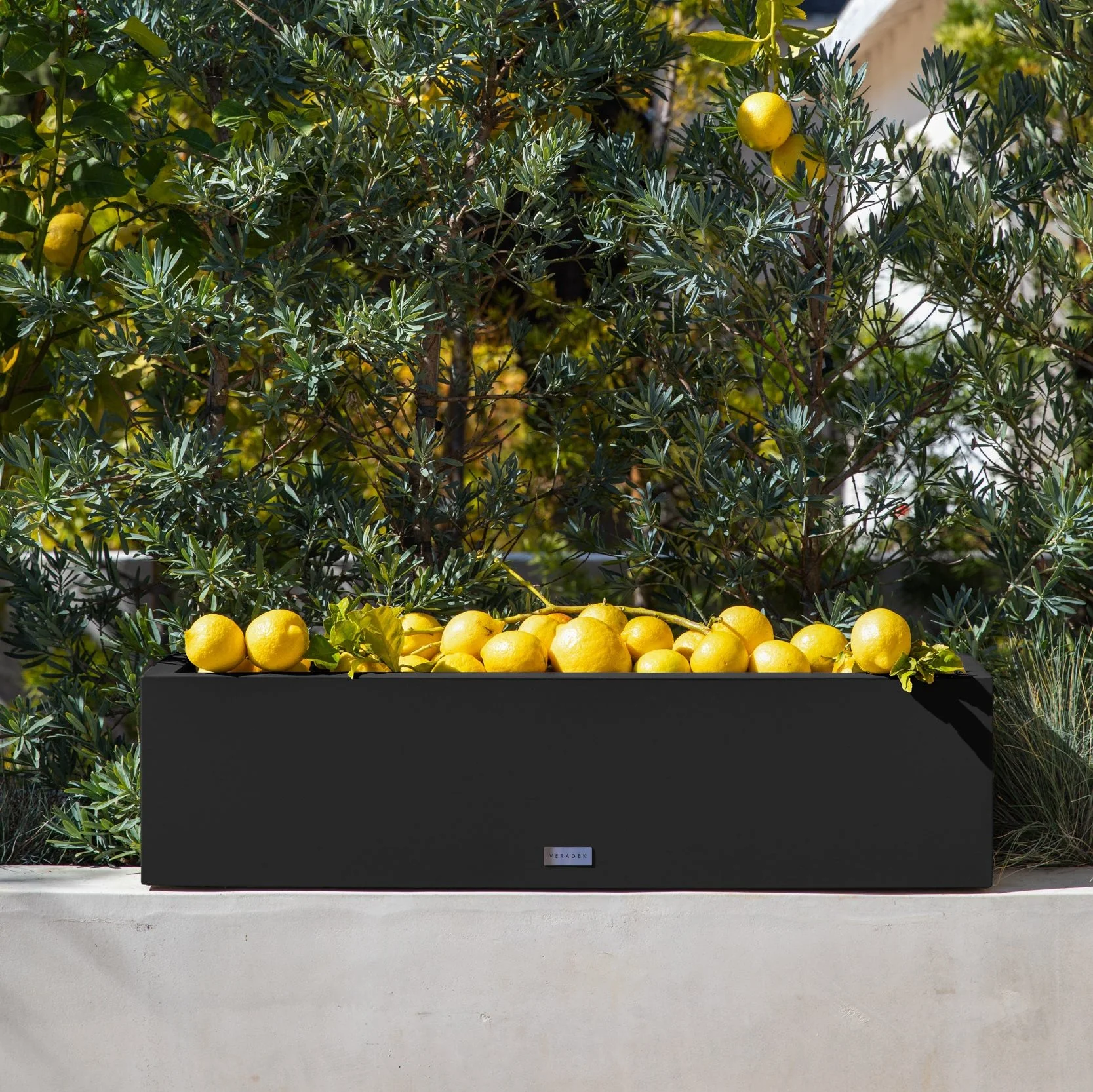 block trough planter - Image 10