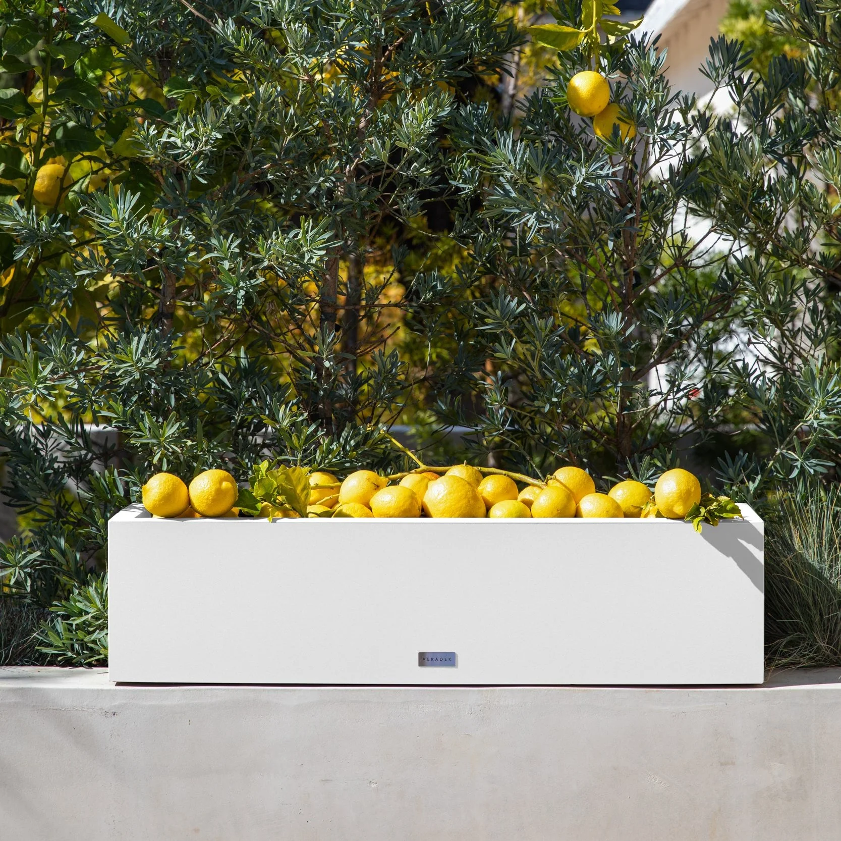 block trough planter - Image 21