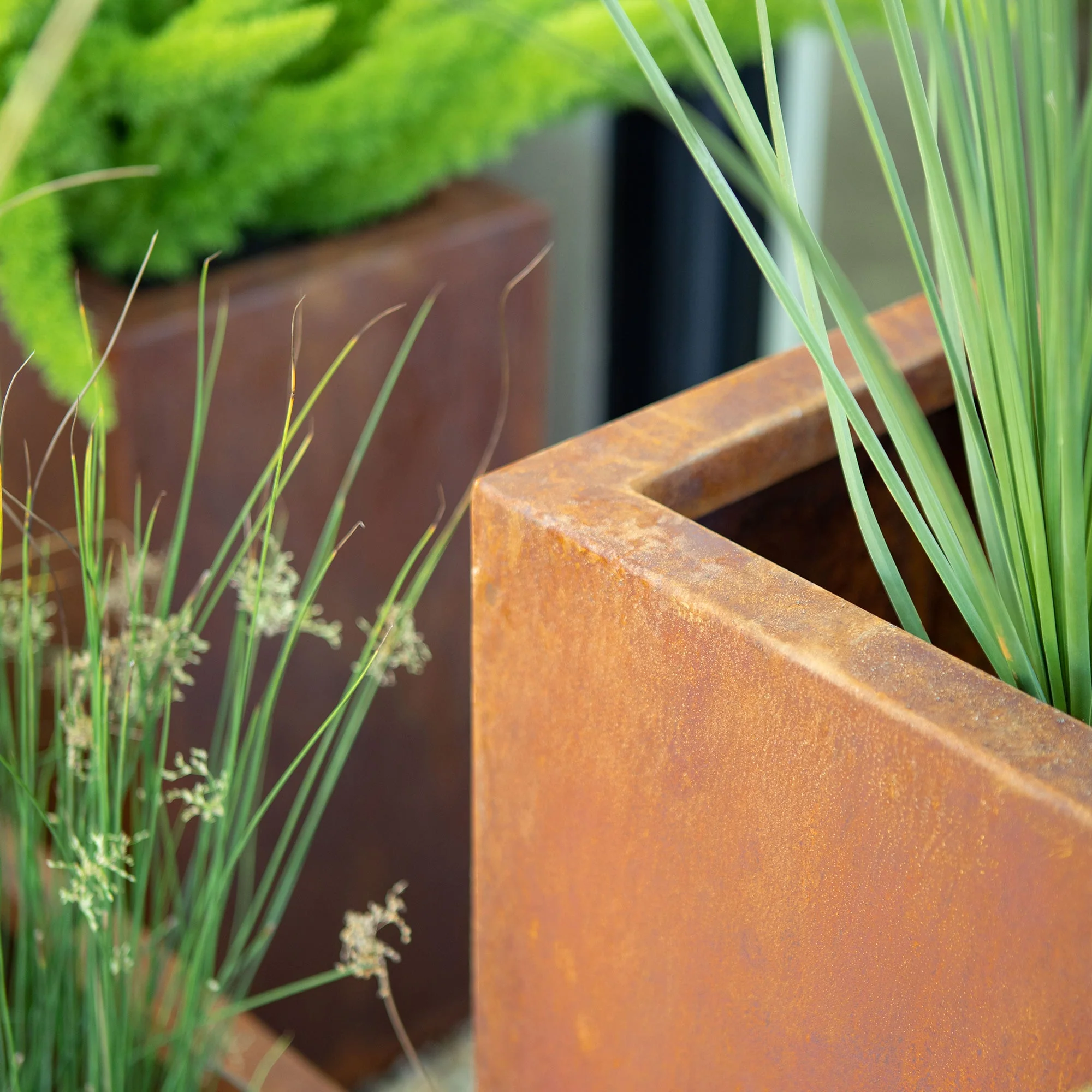 corten cube planter - Image 30