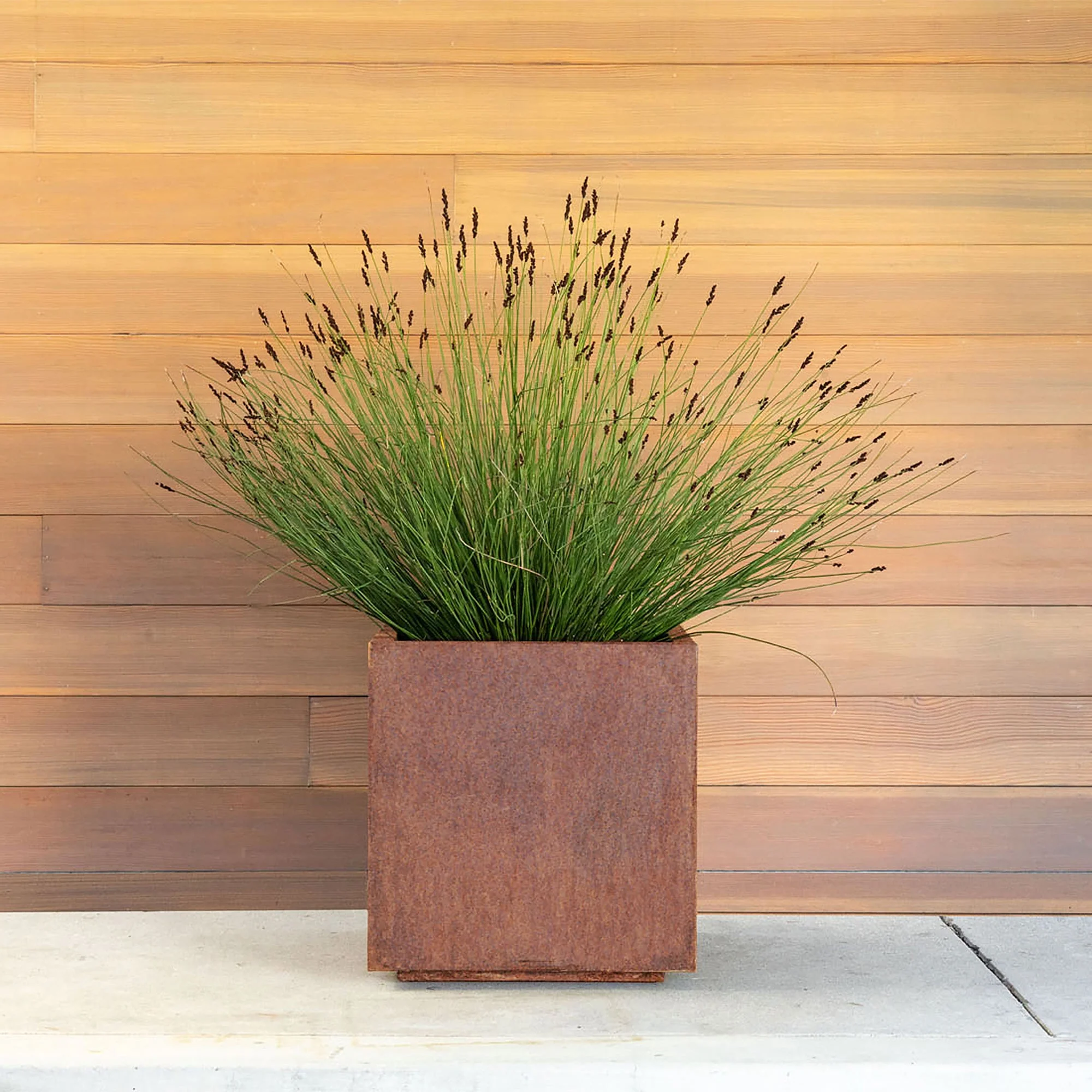 corten cube planter - Image 32