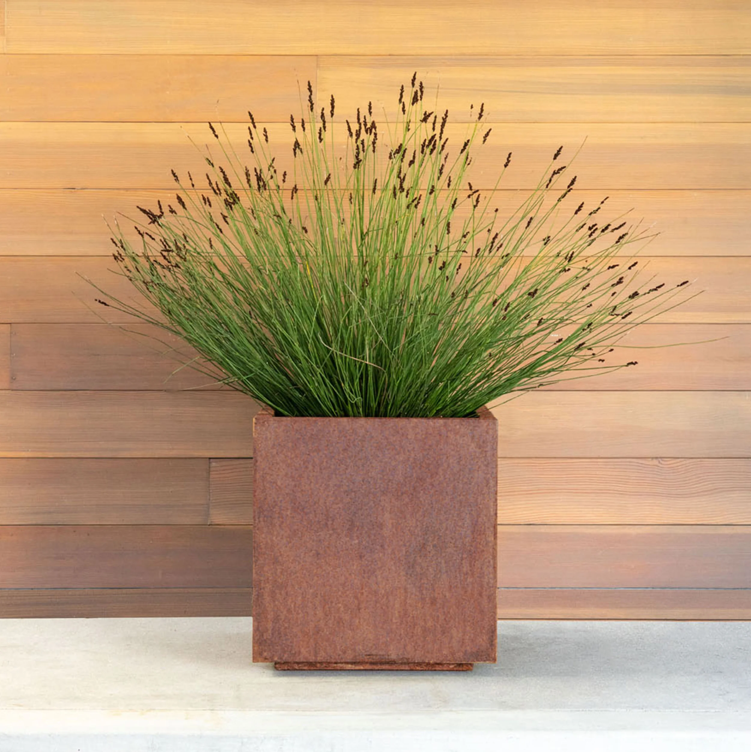 corten cube planter - Image 53