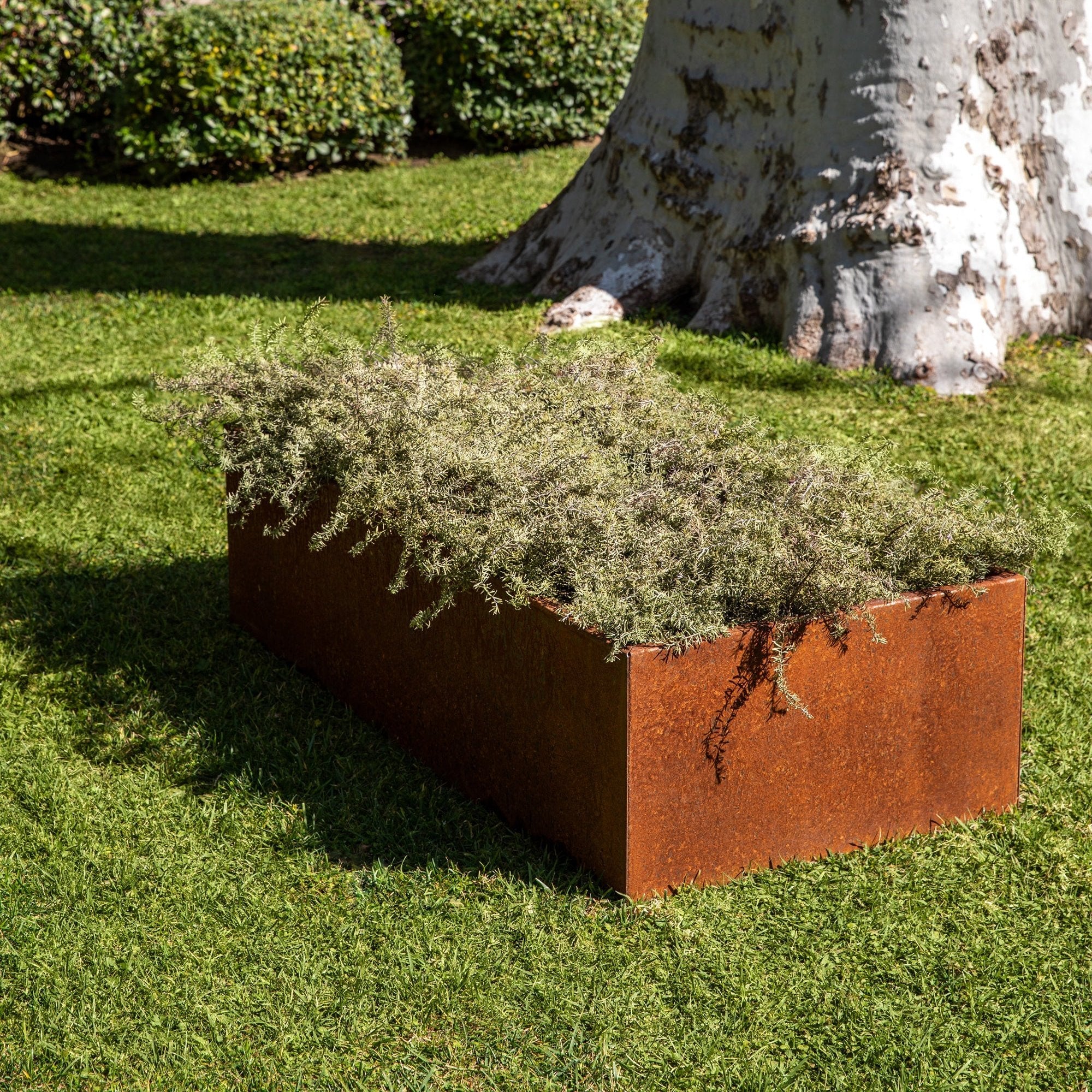 corten garden bed planter - Image 17