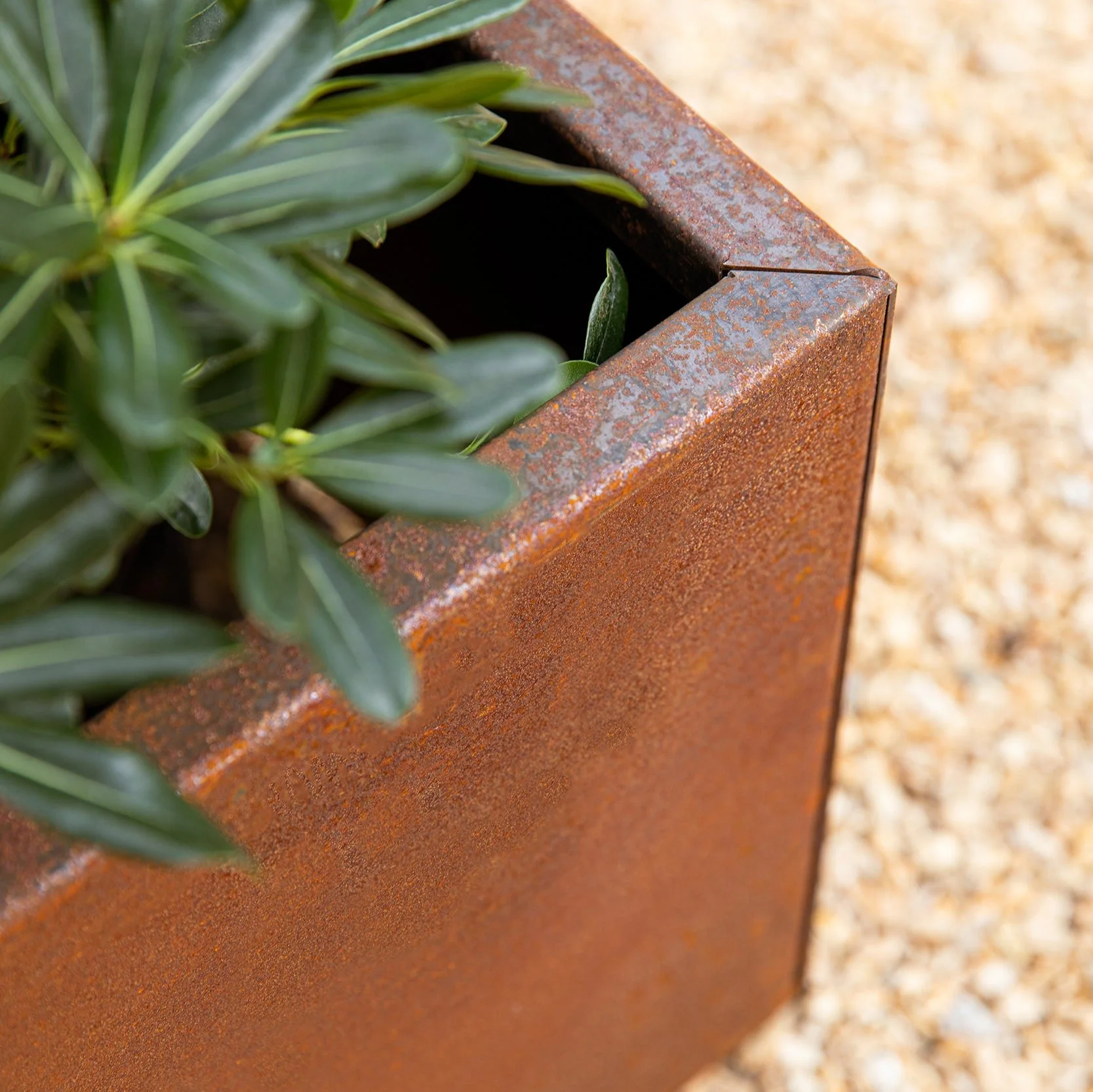 corten garden bed planter - Image 31