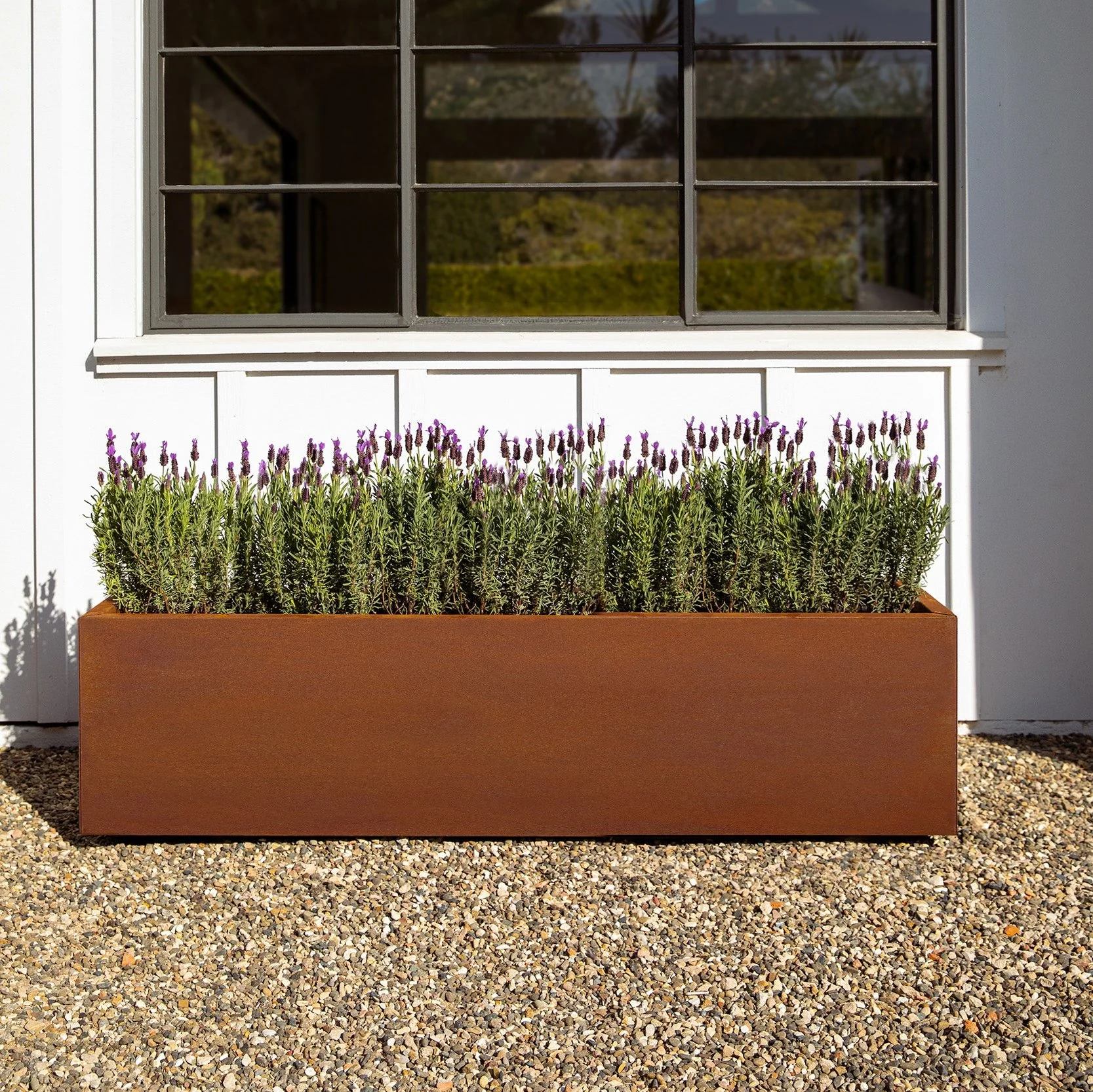 corten long box planter - Image 128
