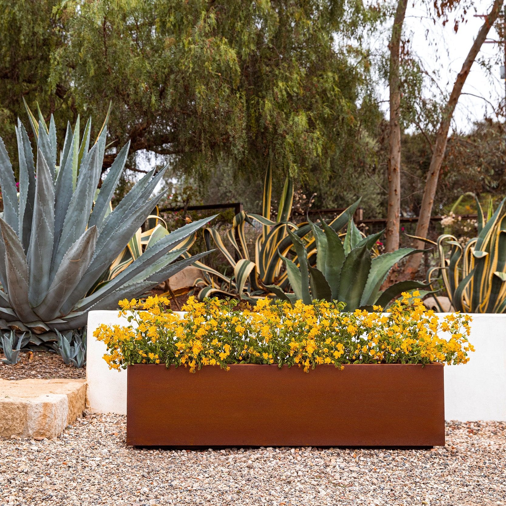 corten long box planter - Image 129