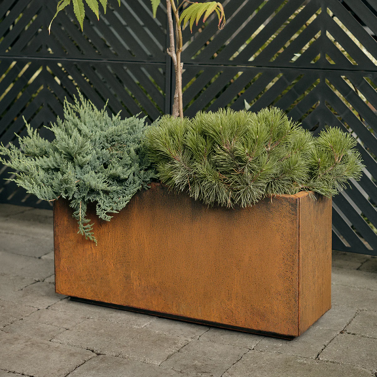 corten long box planter - Image 133