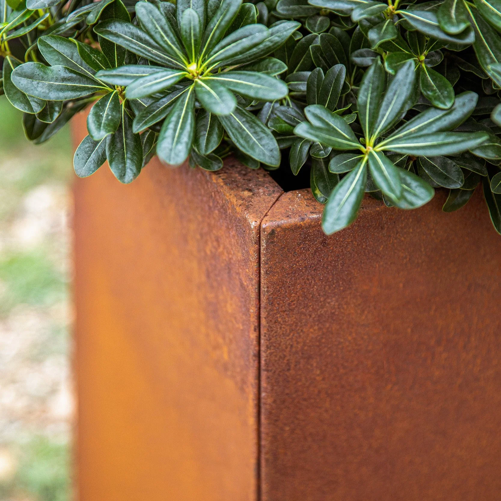 corten pedestal planter - Image 55