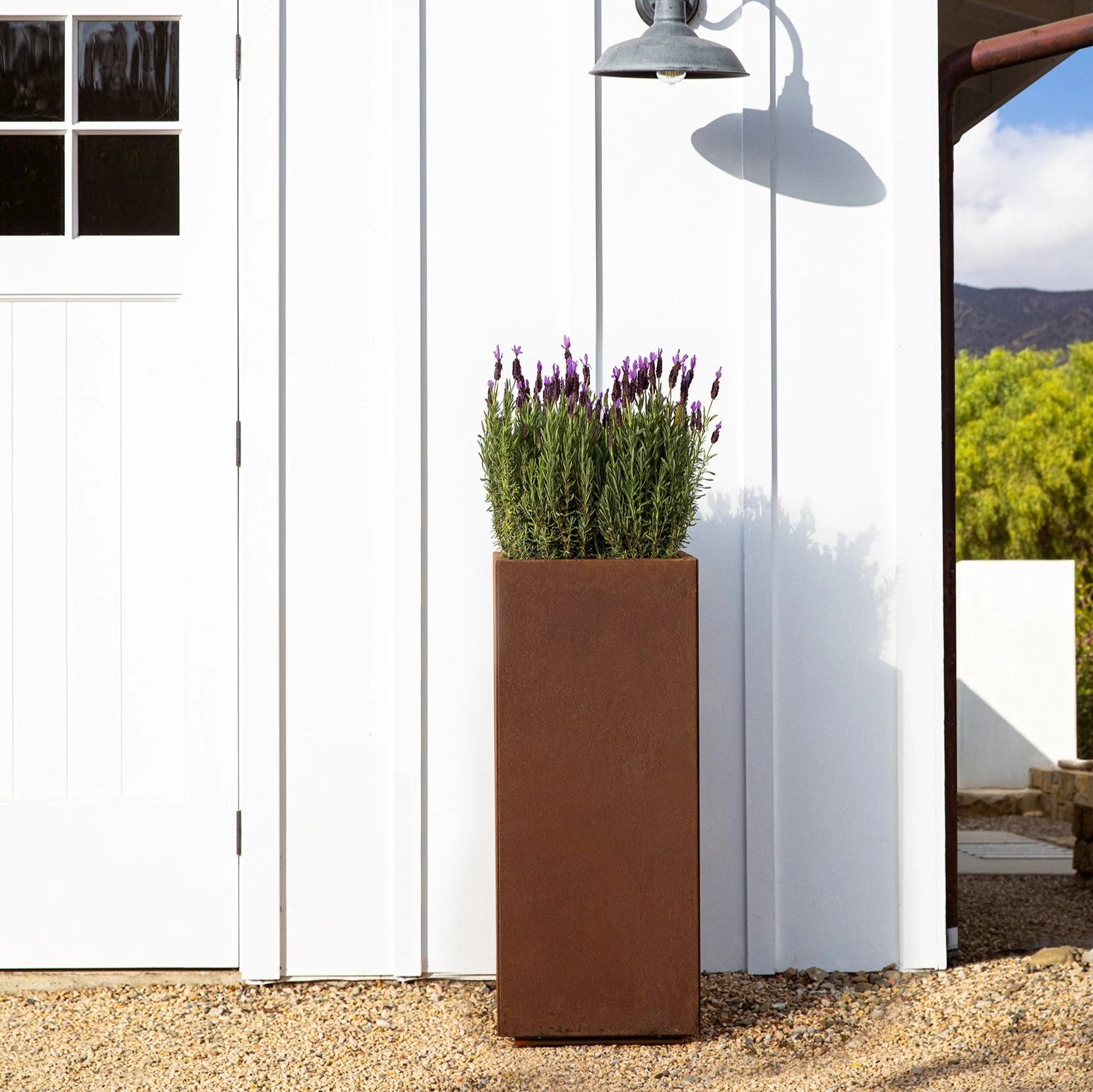 corten pedestal planter - Image 58