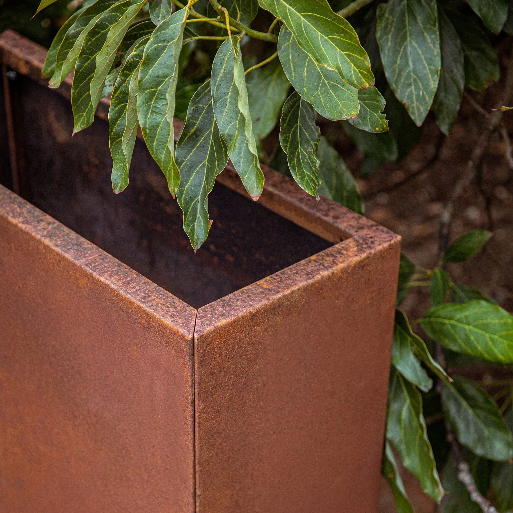 corten span planter - Image 78