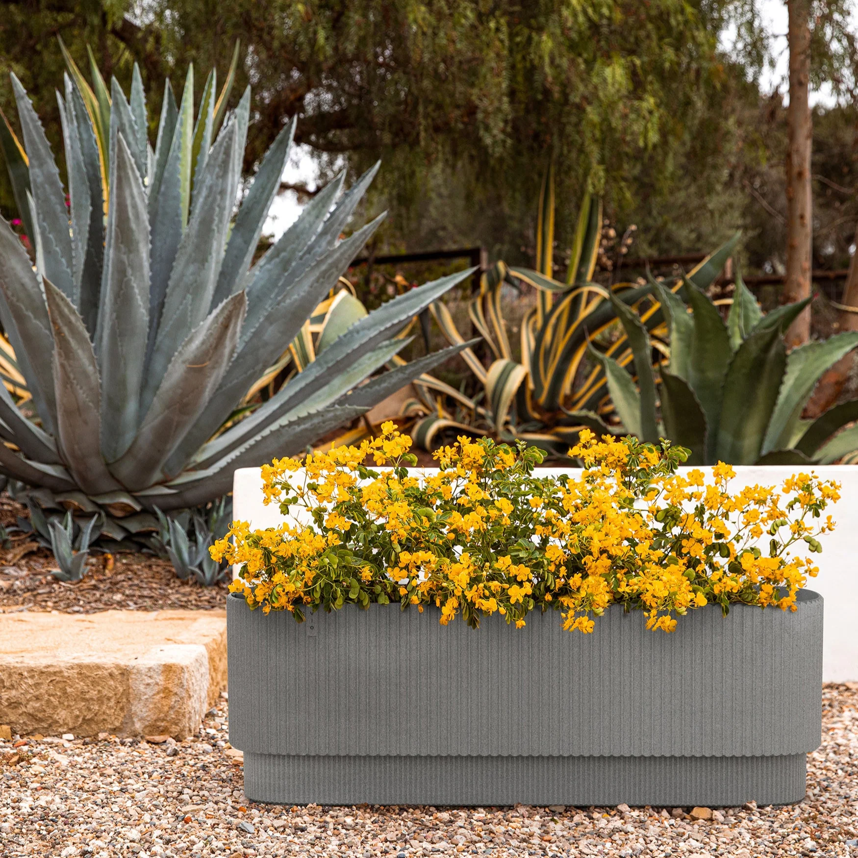 demi garden bed - Image 13