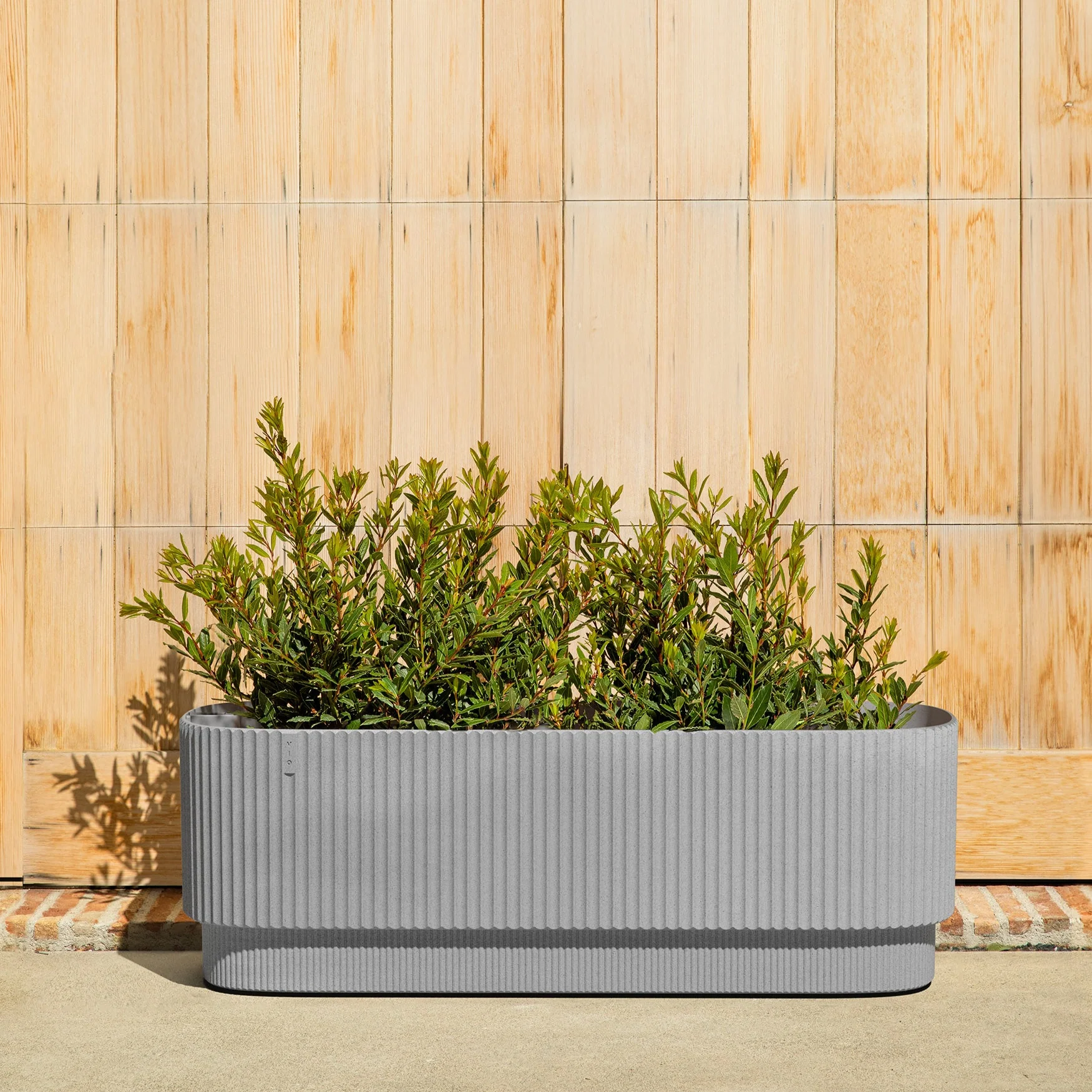 demi garden bed - Image 14