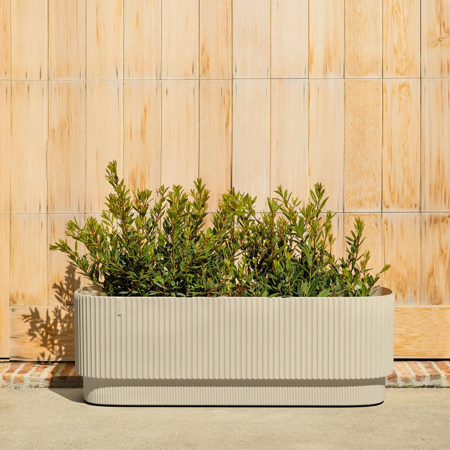 demi garden bed - Image 21