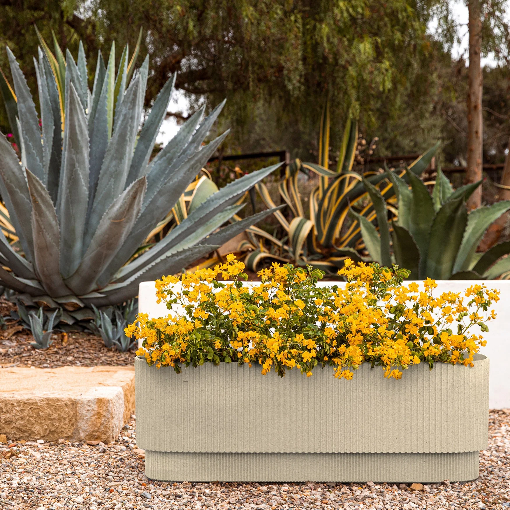 demi garden bed - Image 22