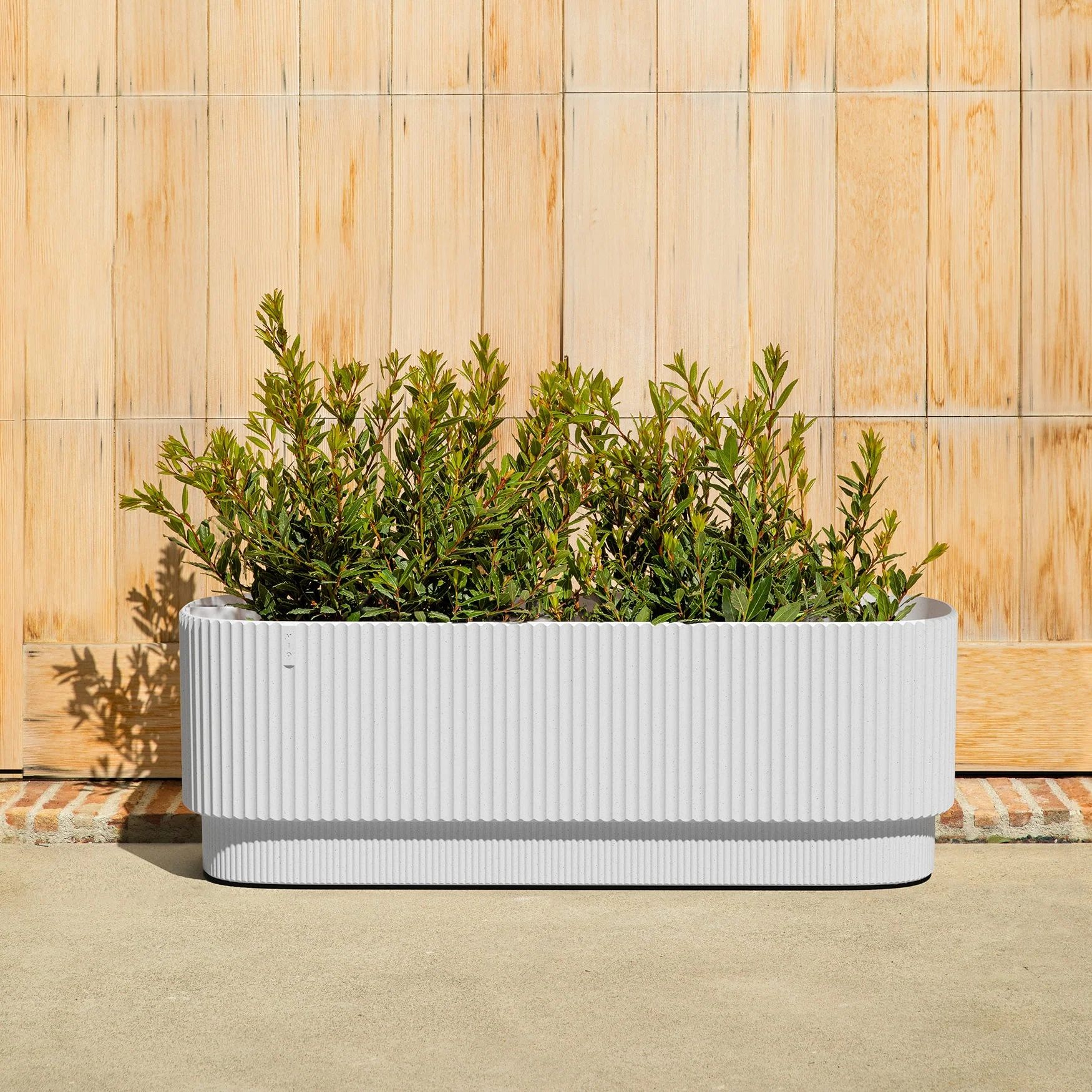 demi garden bed - Image 29