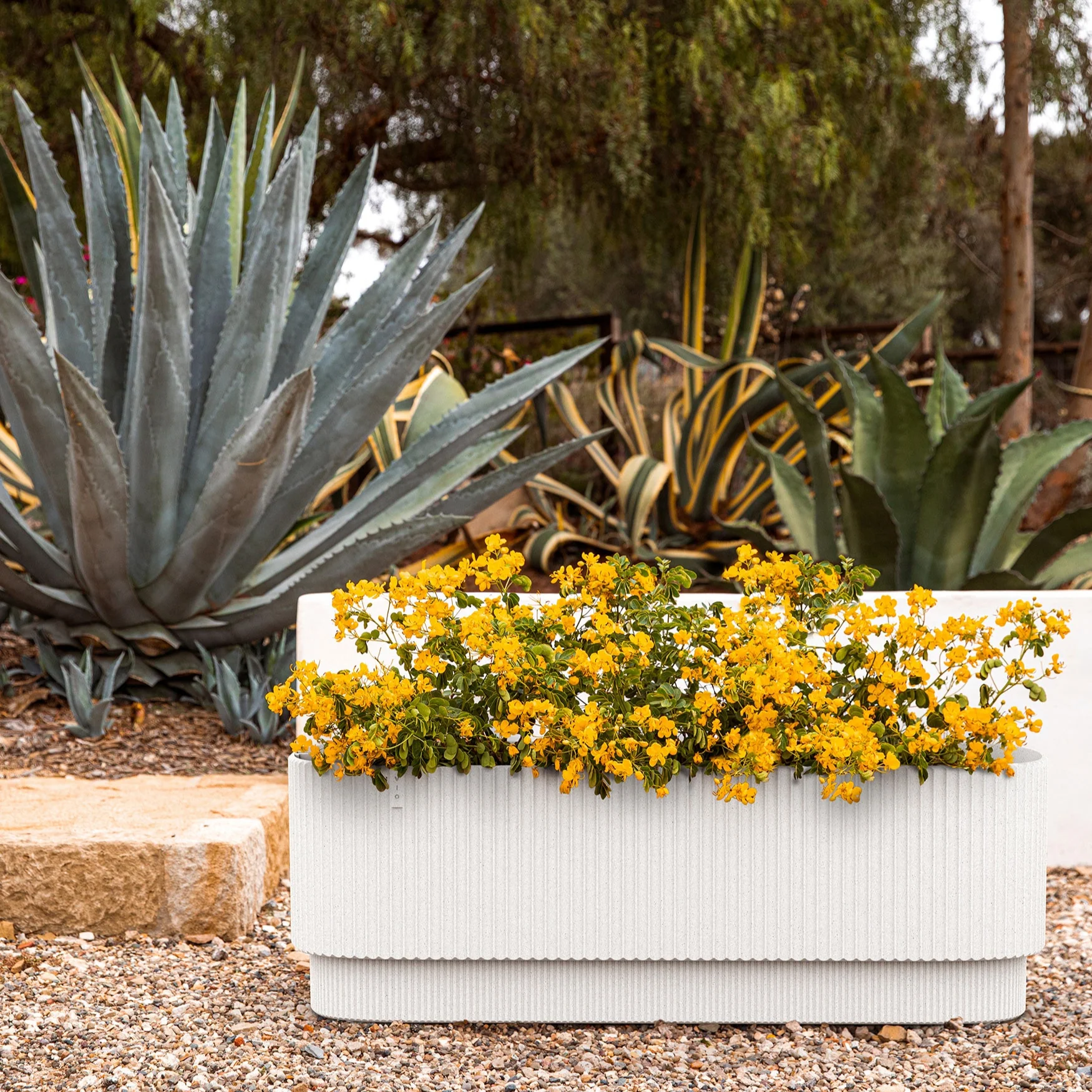demi garden bed - Image 30