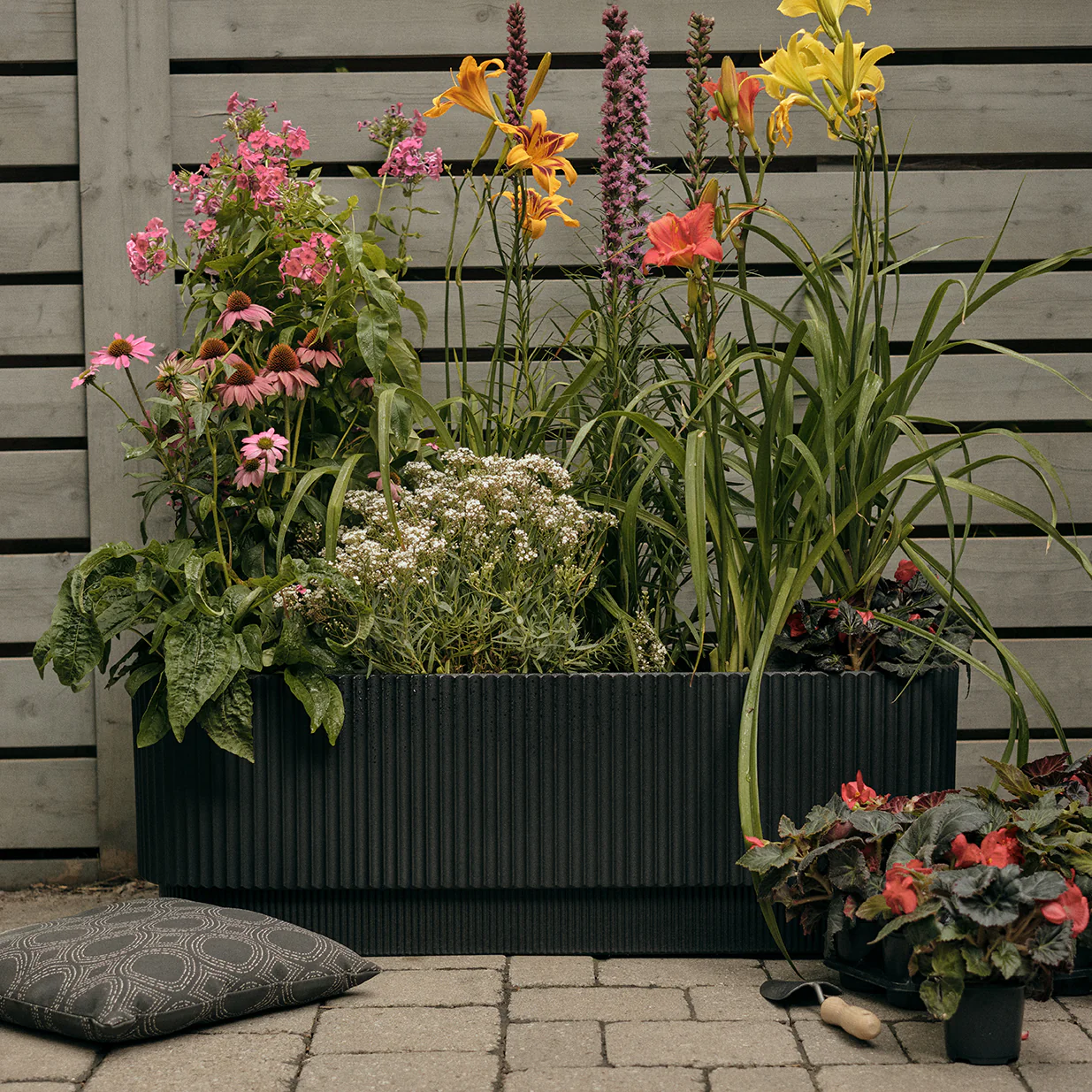 demi garden bed - Image 33