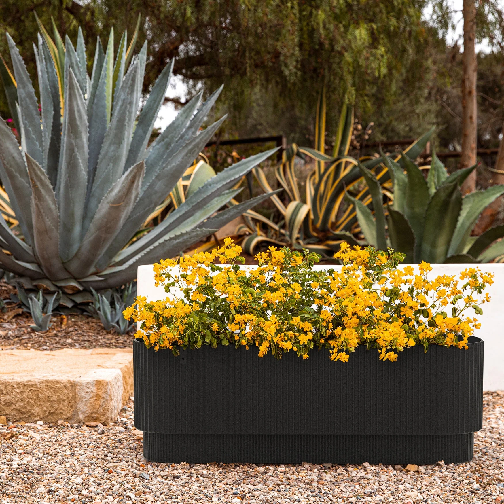 demi garden bed - Image 6