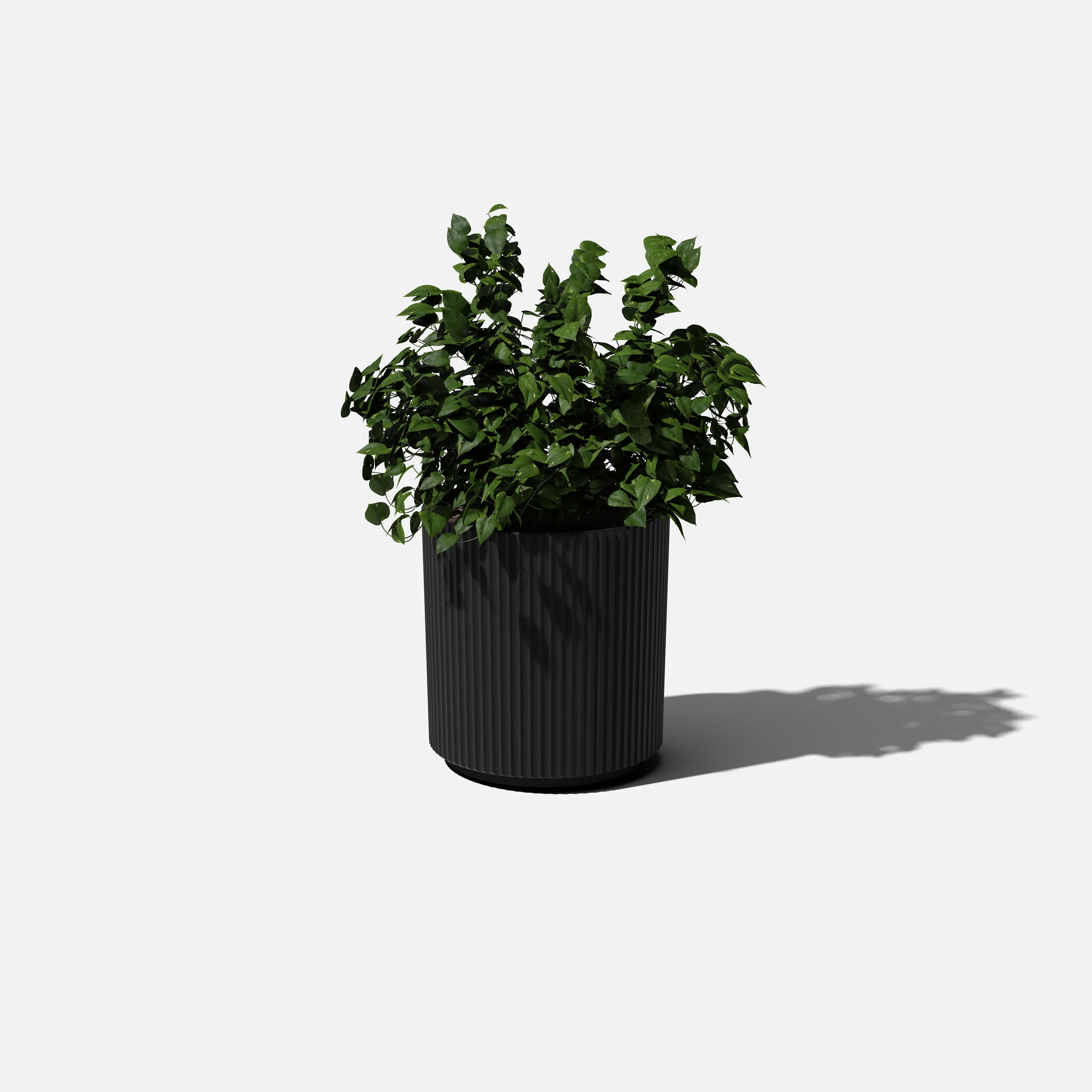demi planter - Image 102