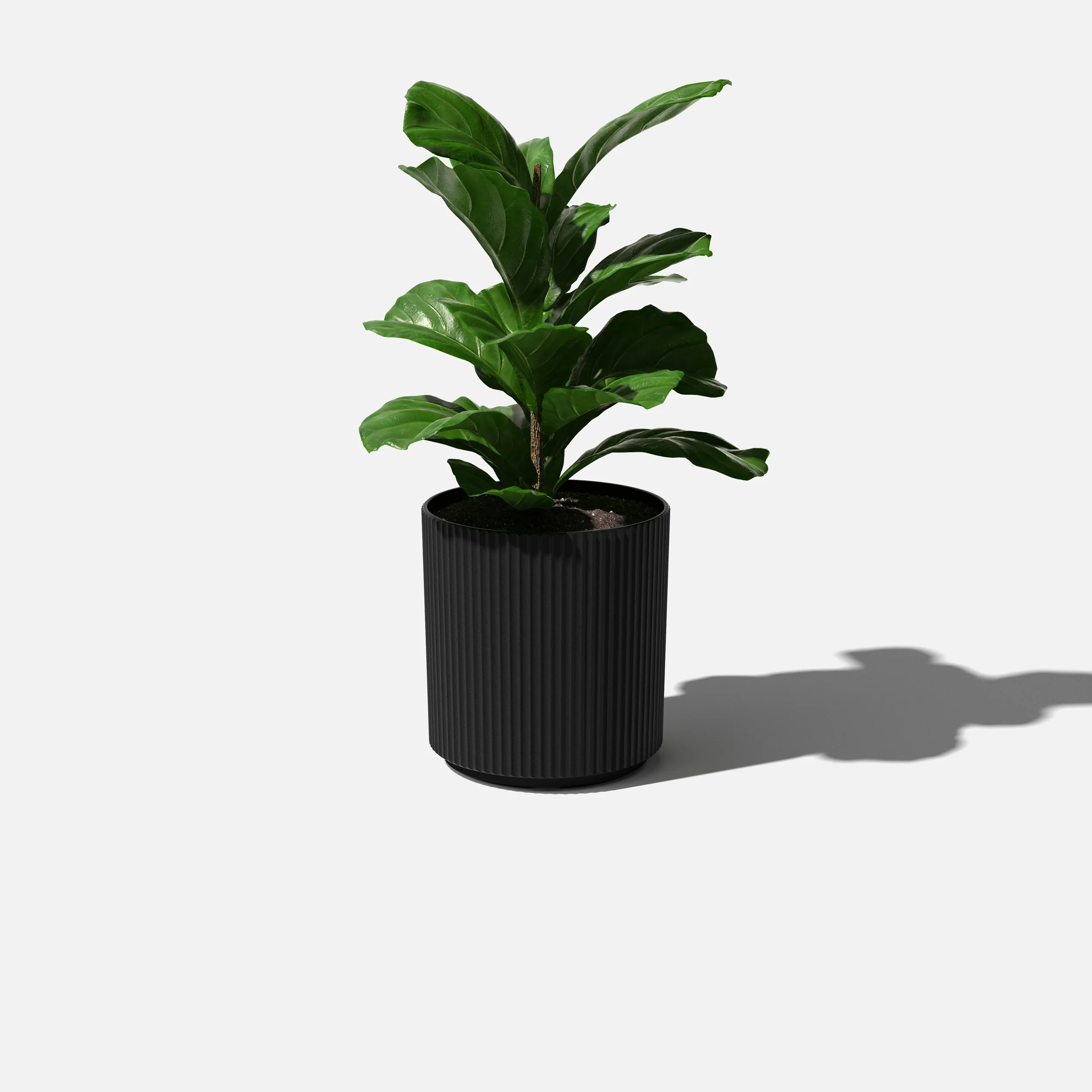 demi planter - Image 104