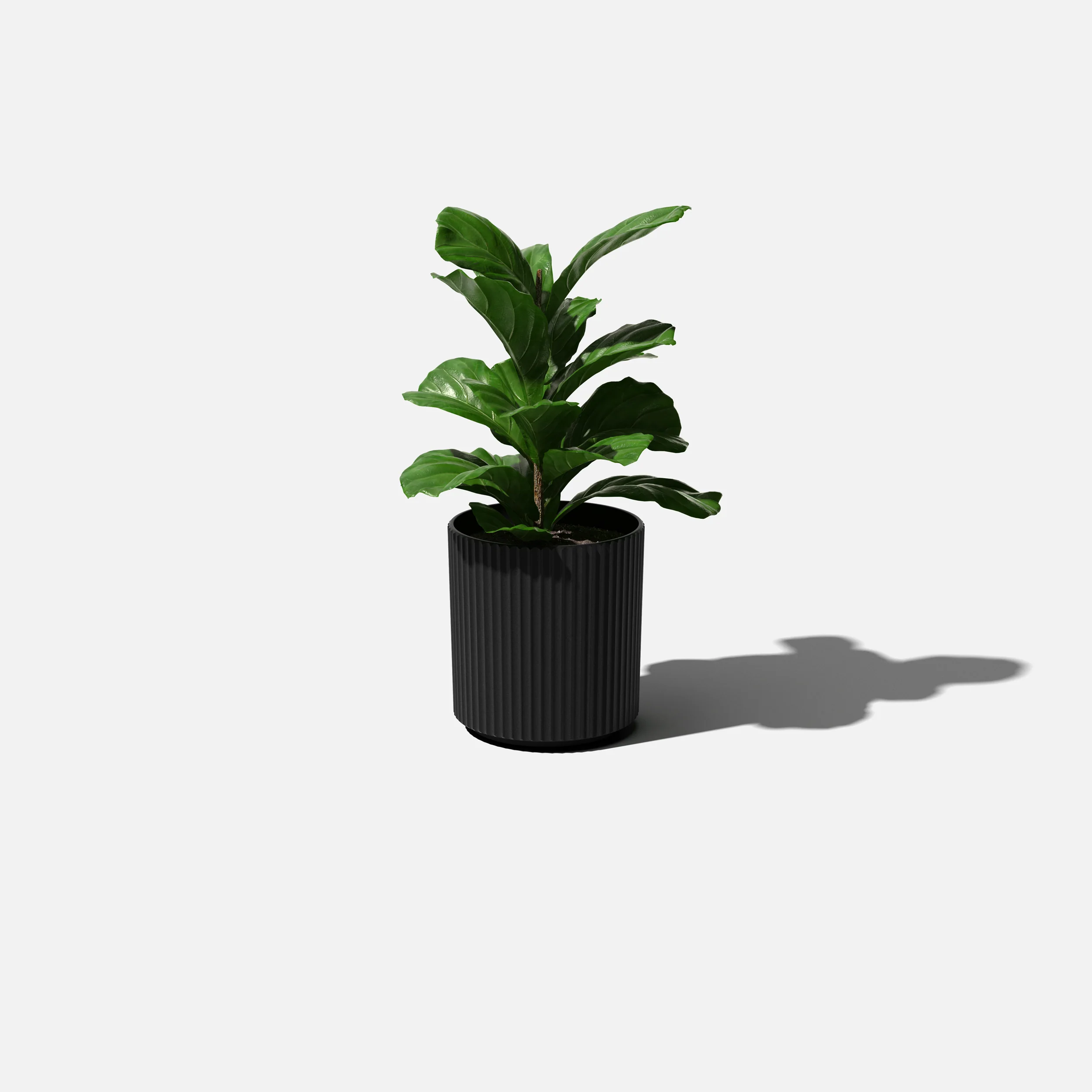 demi planter - Image 122