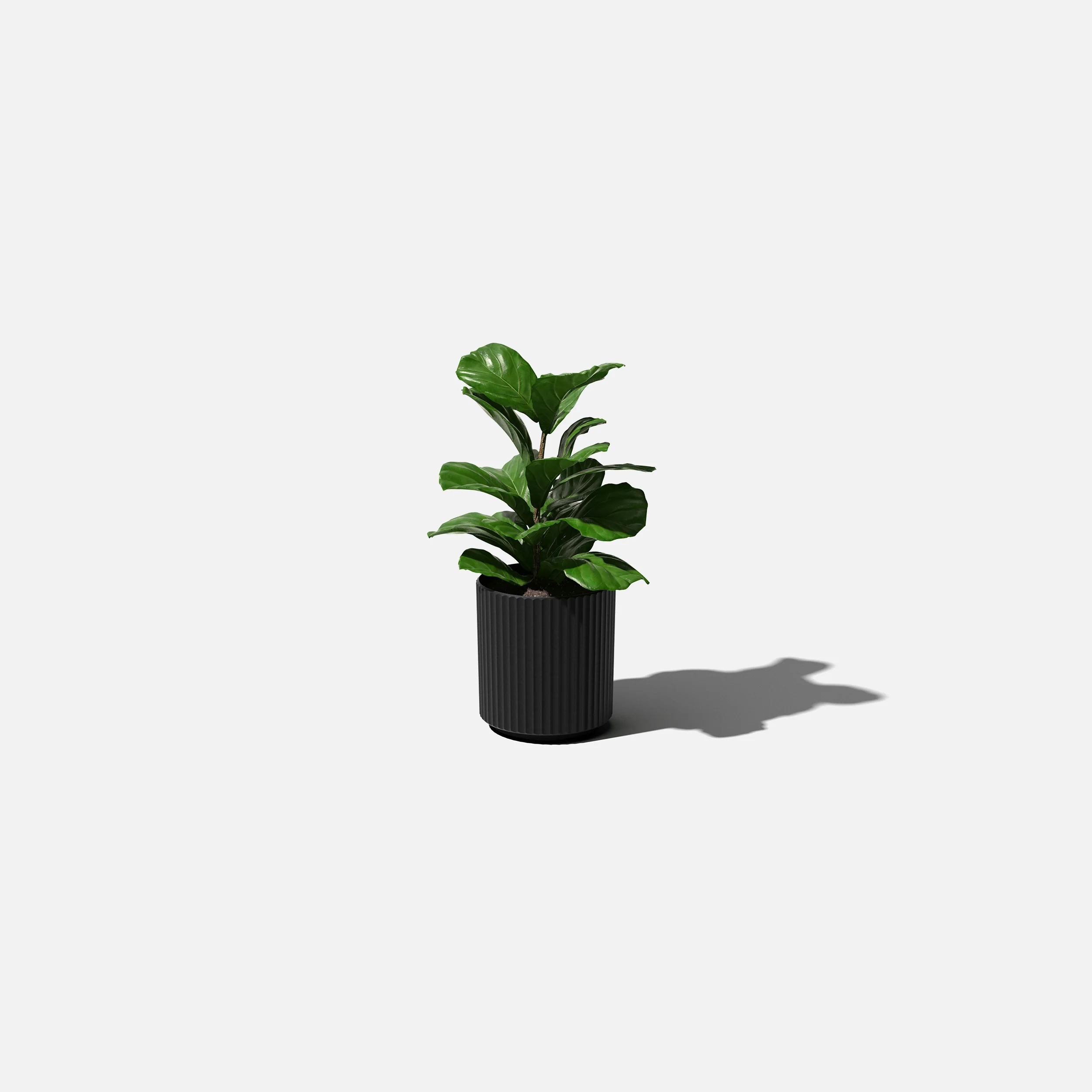 demi planter - Image 129