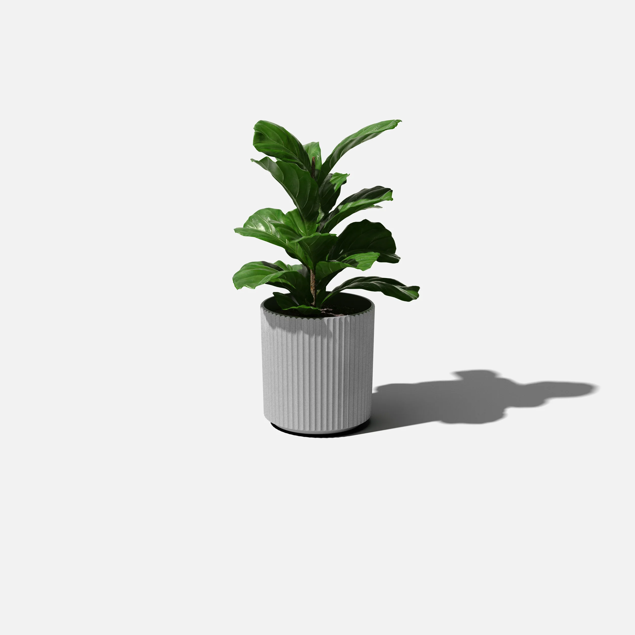 demi planter - Image 13
