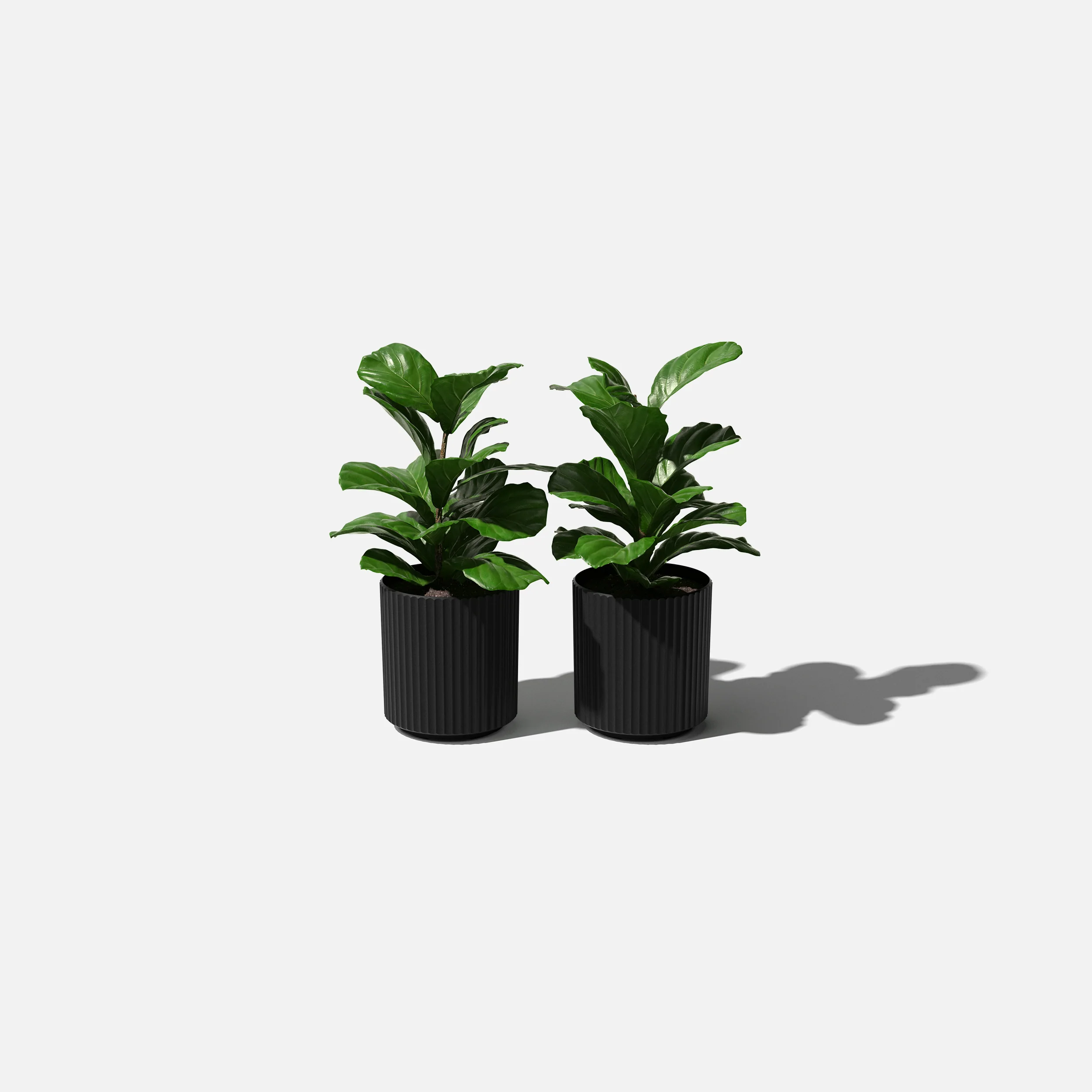demi planter - Image 135