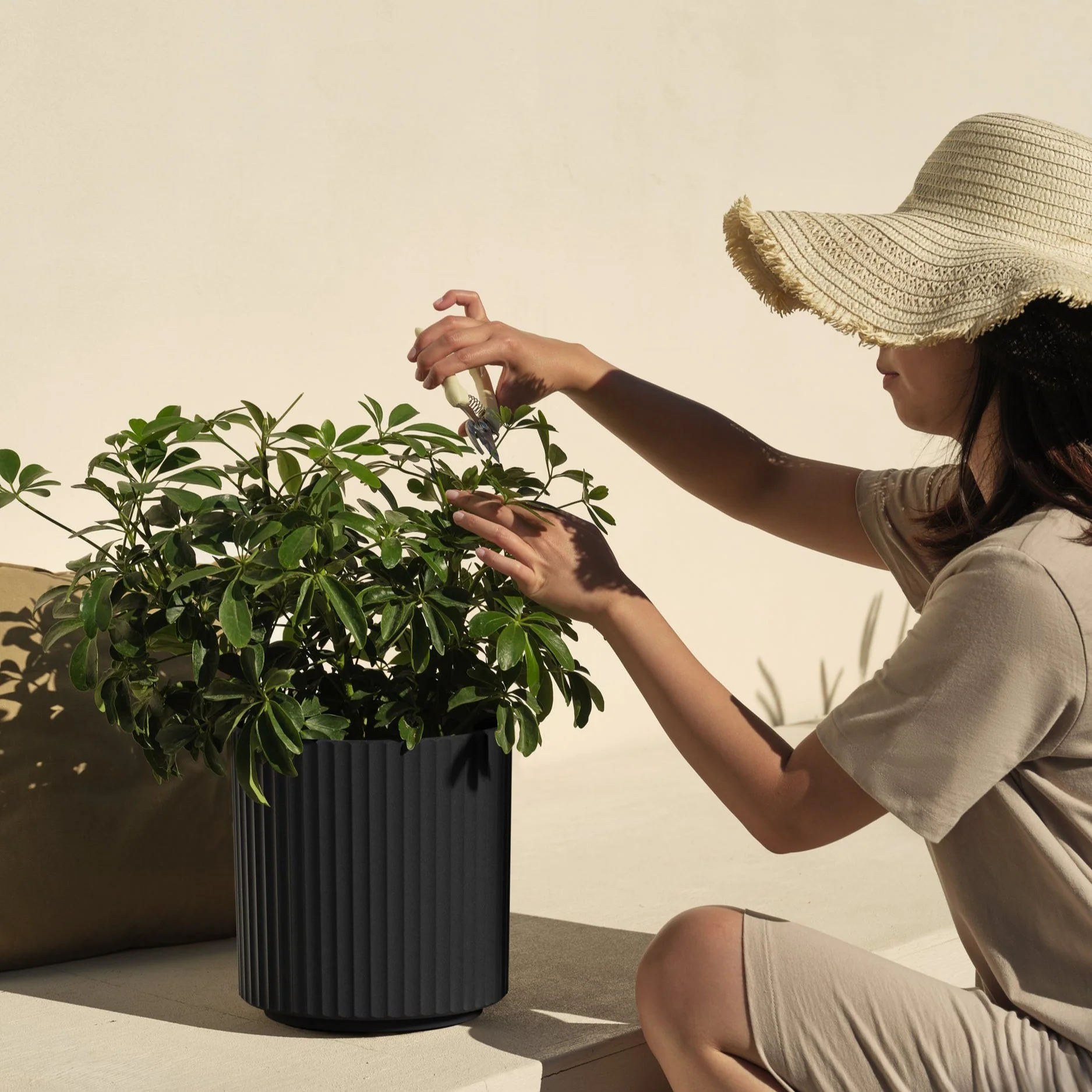 demi planter - Image 139