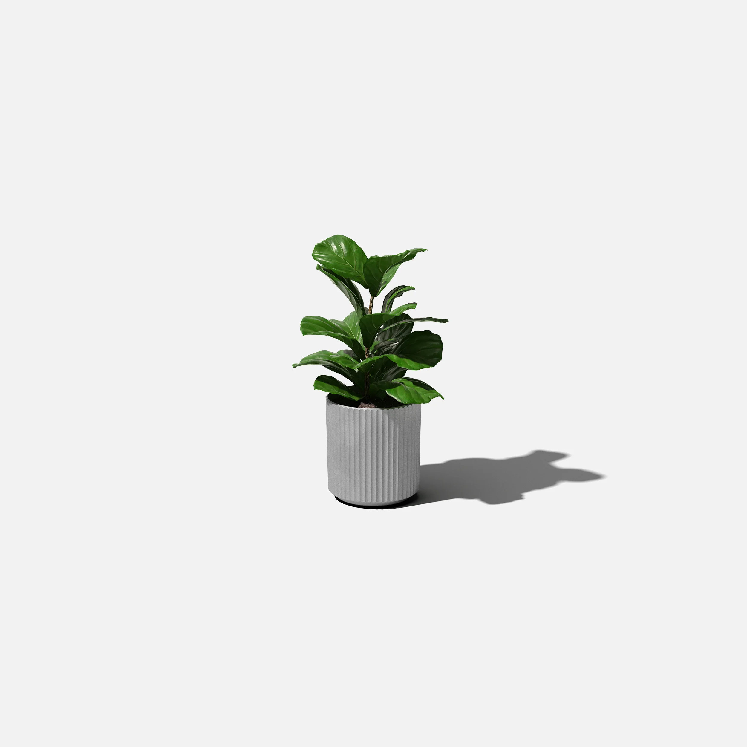 demi planter - Image 144