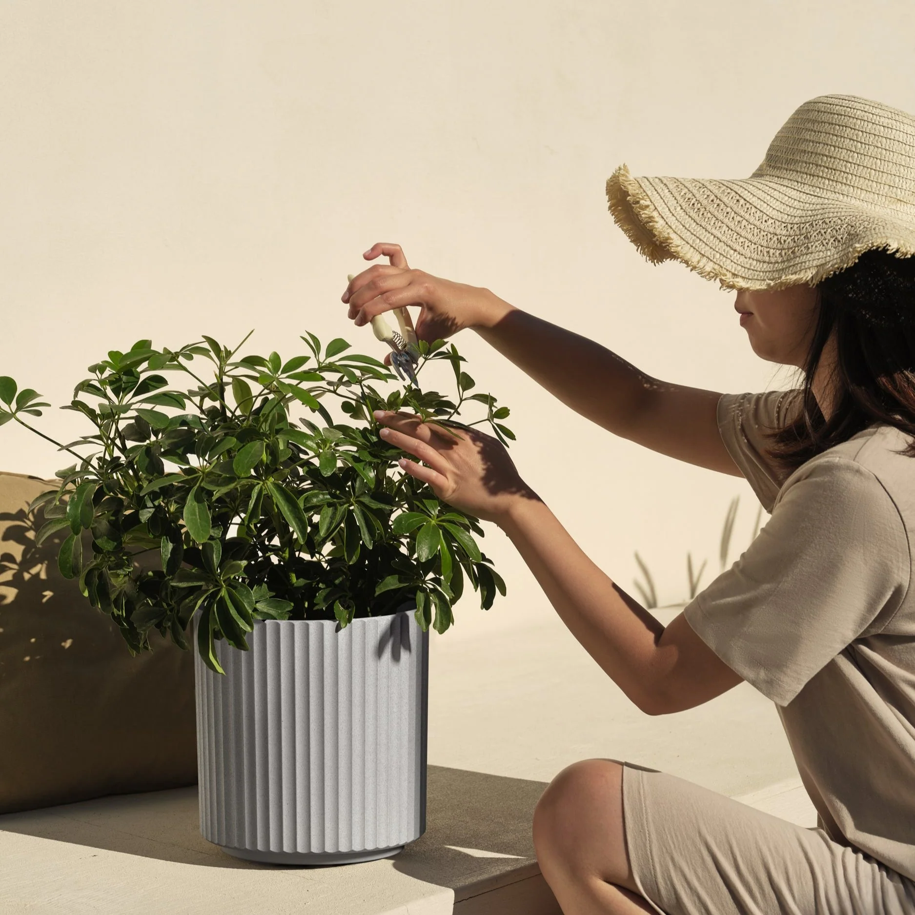 demi planter - Image 147
