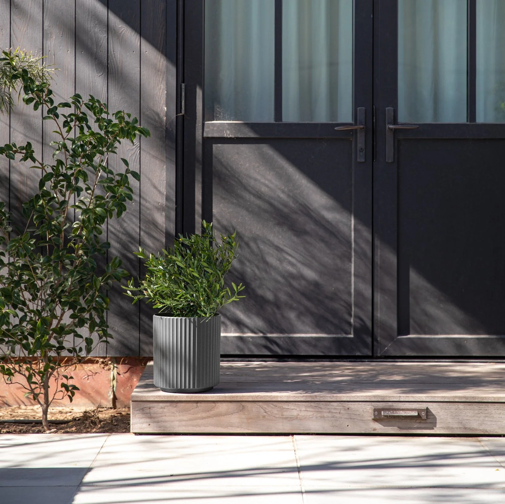 demi planter - Image 149