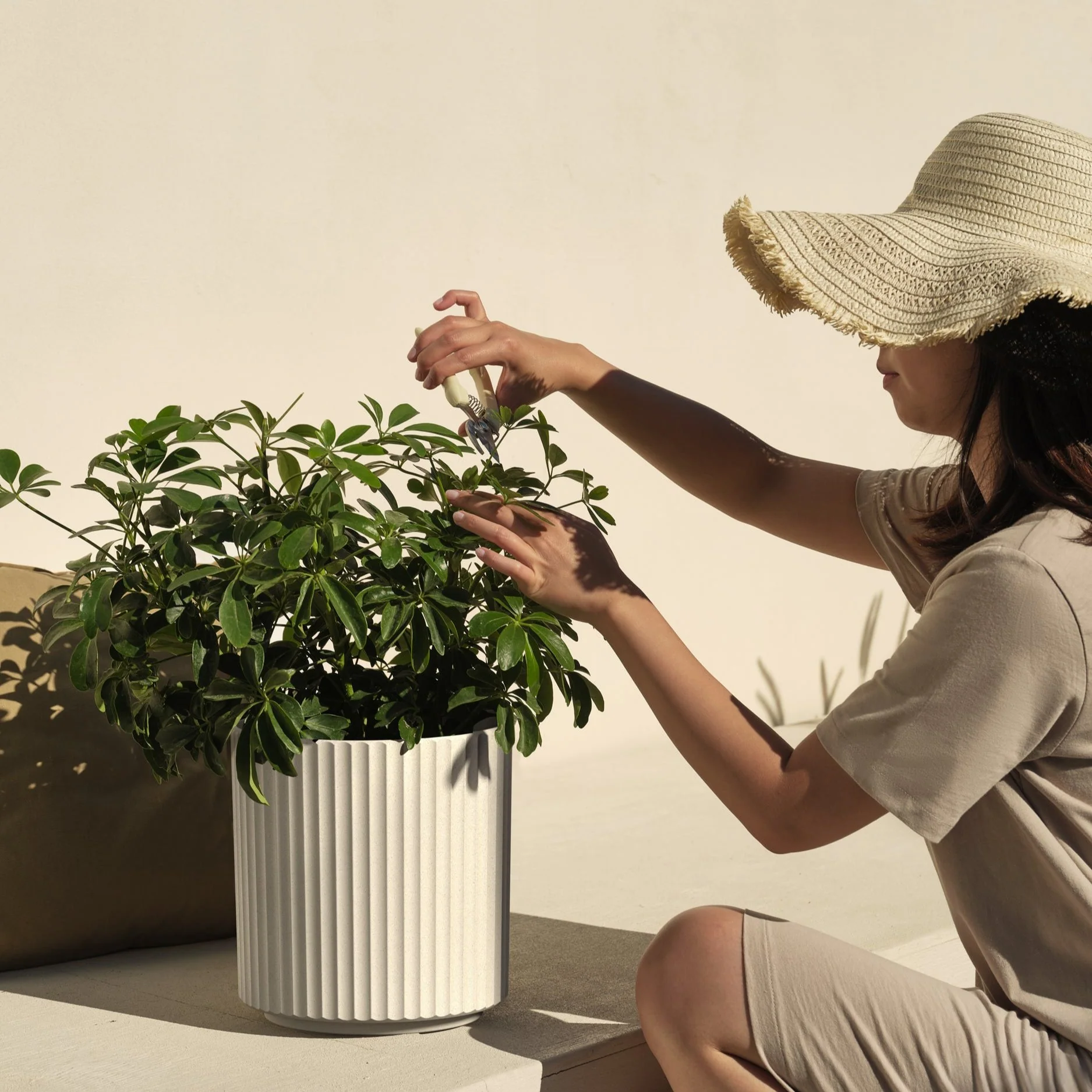 demi planter - Image 168