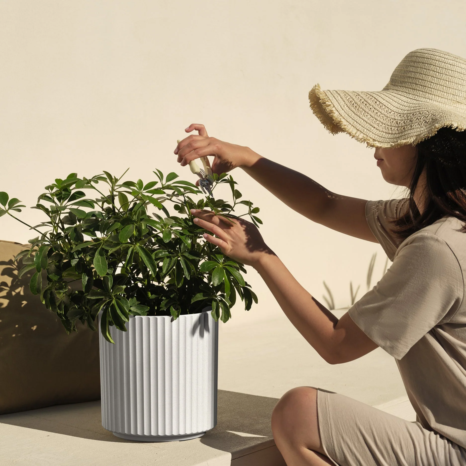 demi planter - Image 180