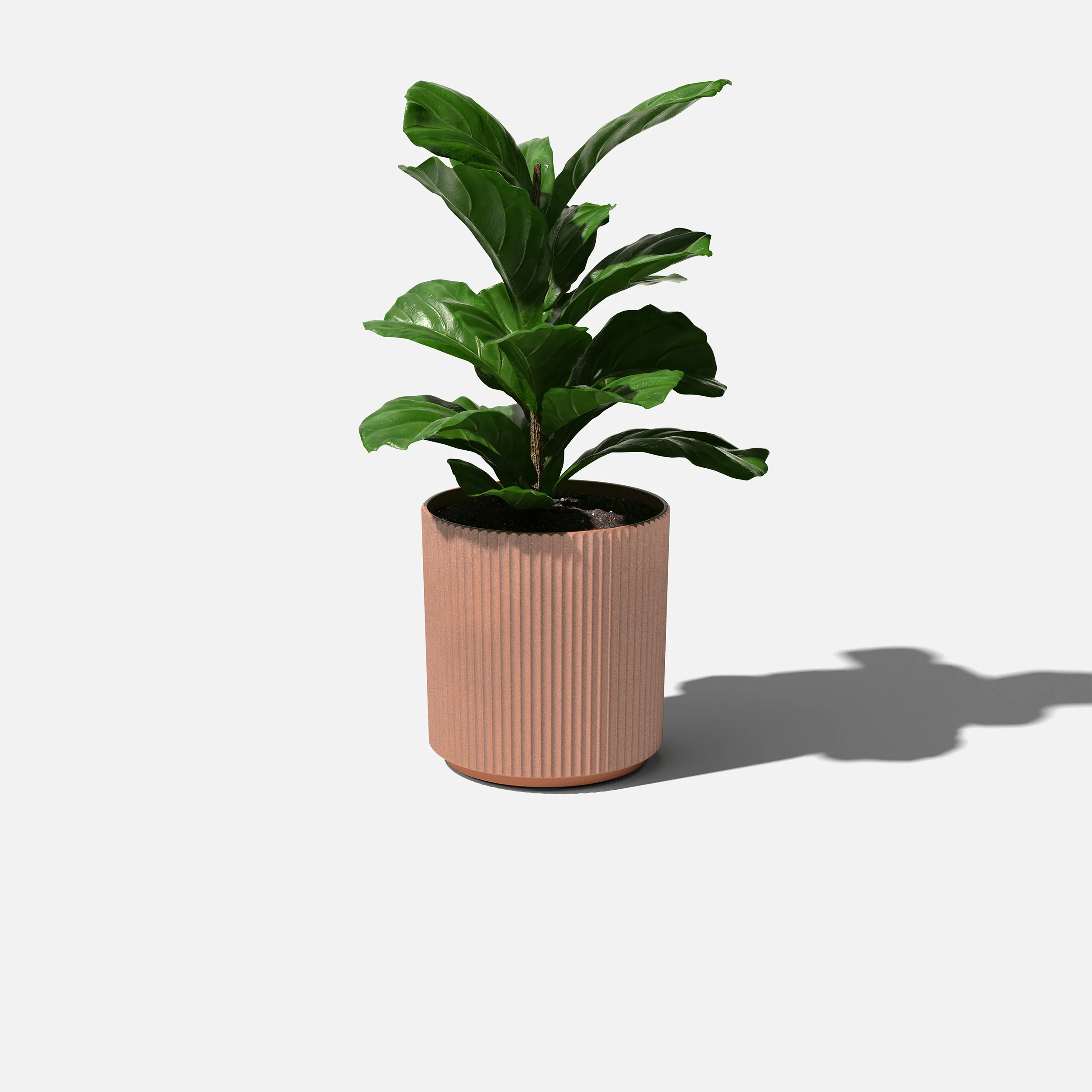 demi planter - Image 207