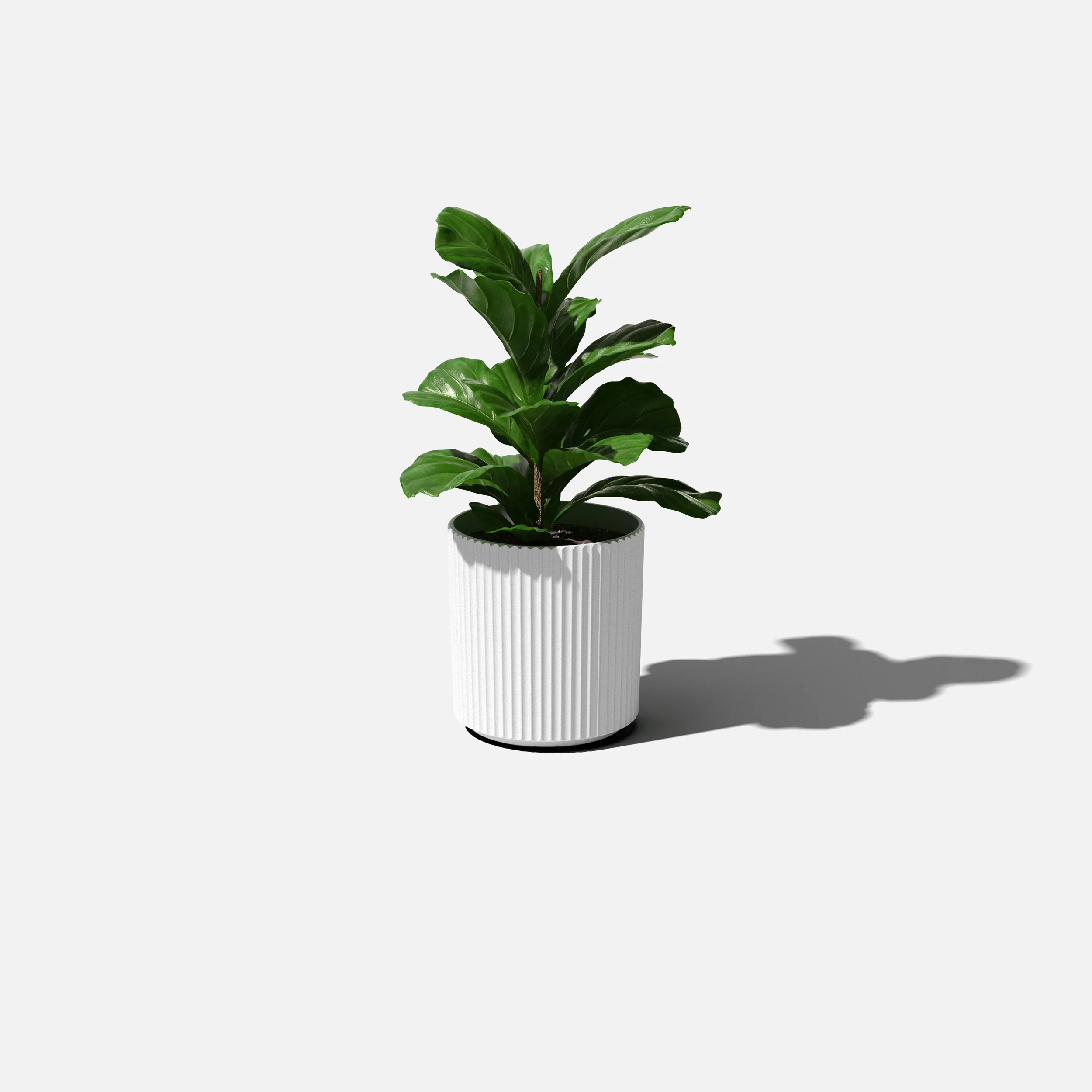 demi planter - Image 31