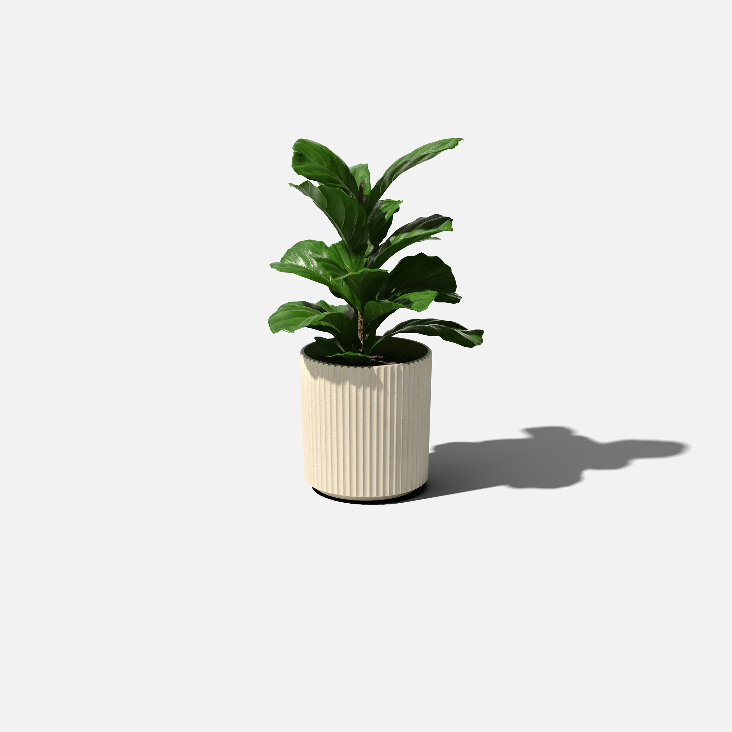 demi planter - Image 39