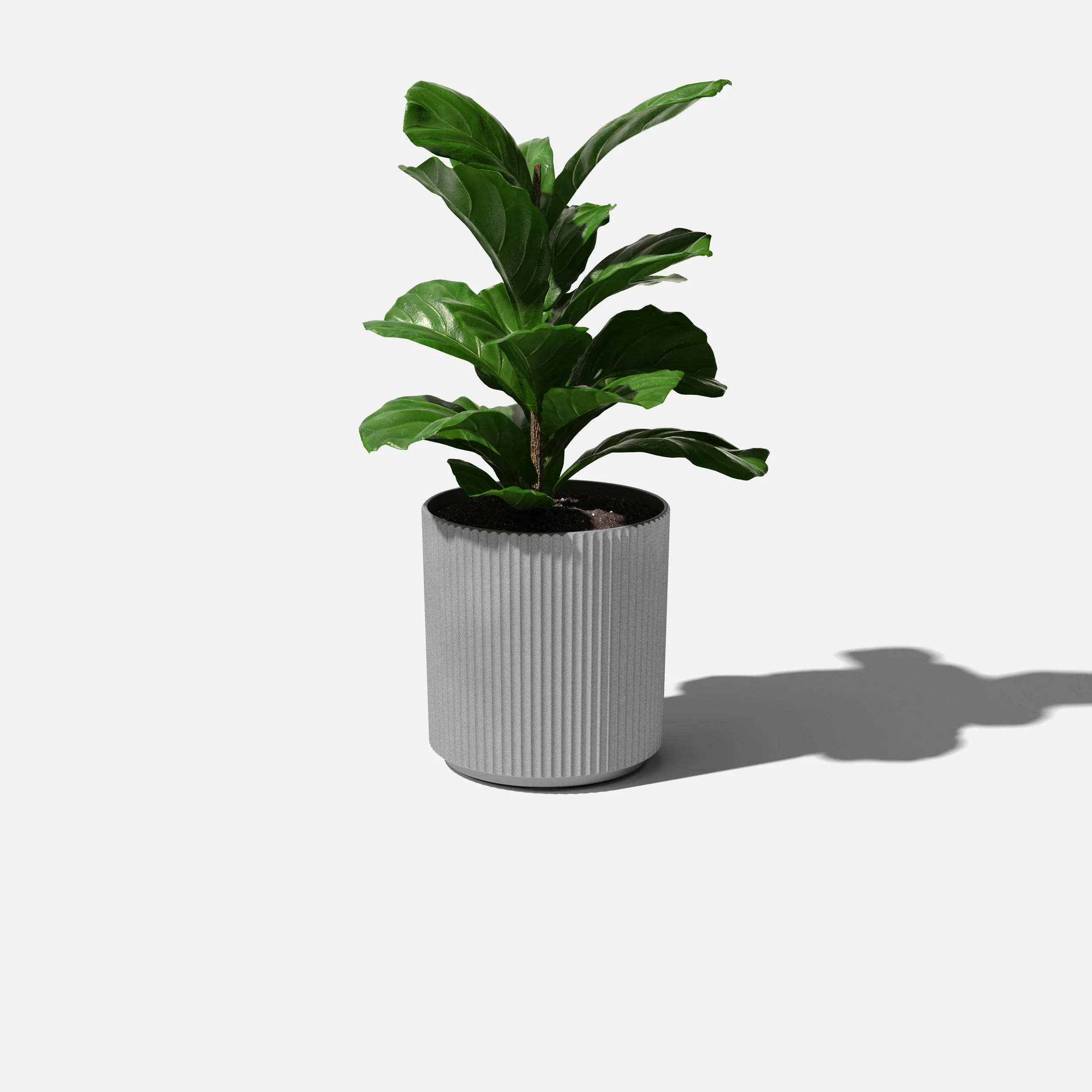 demi planter - Image 56