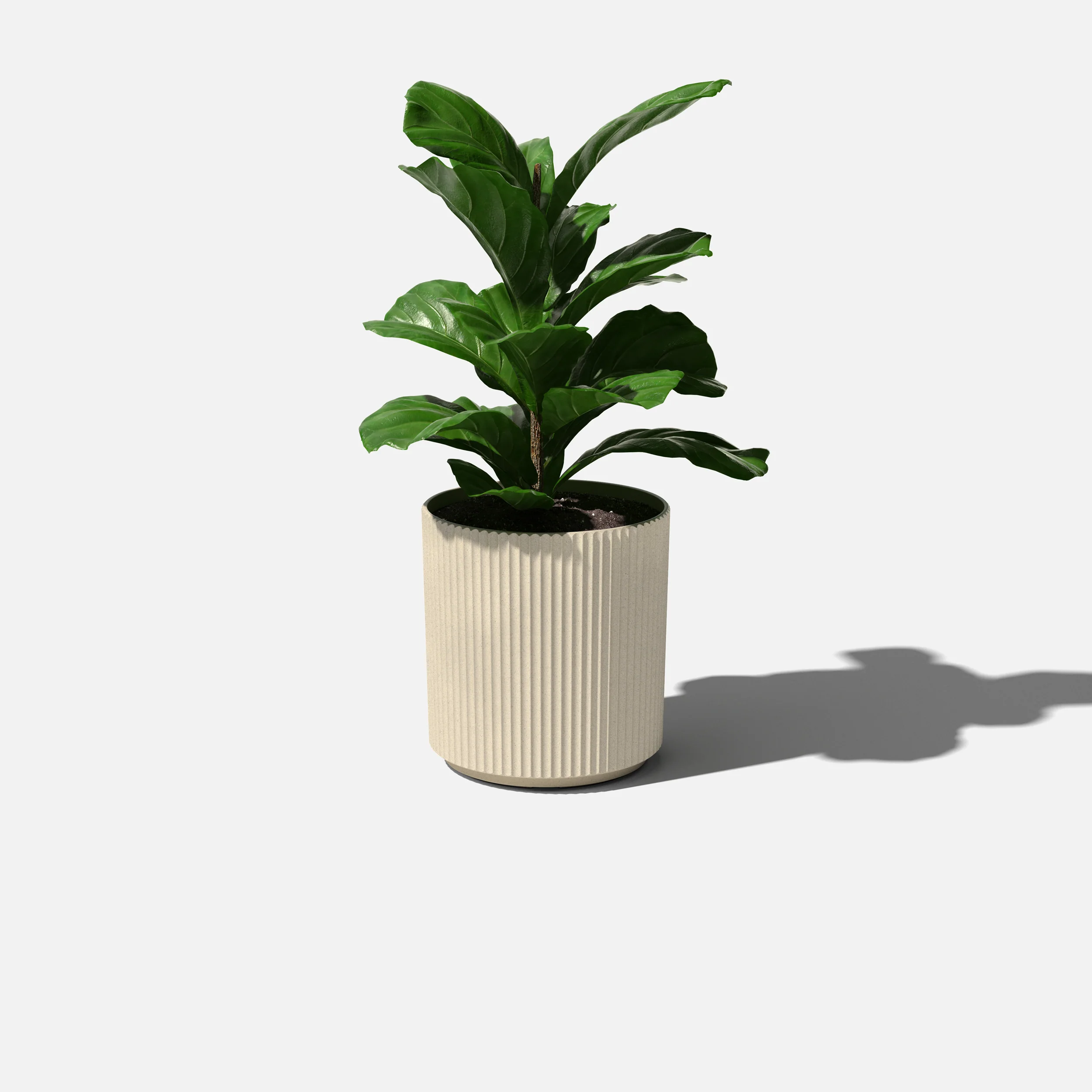 demi planter - Image 65
