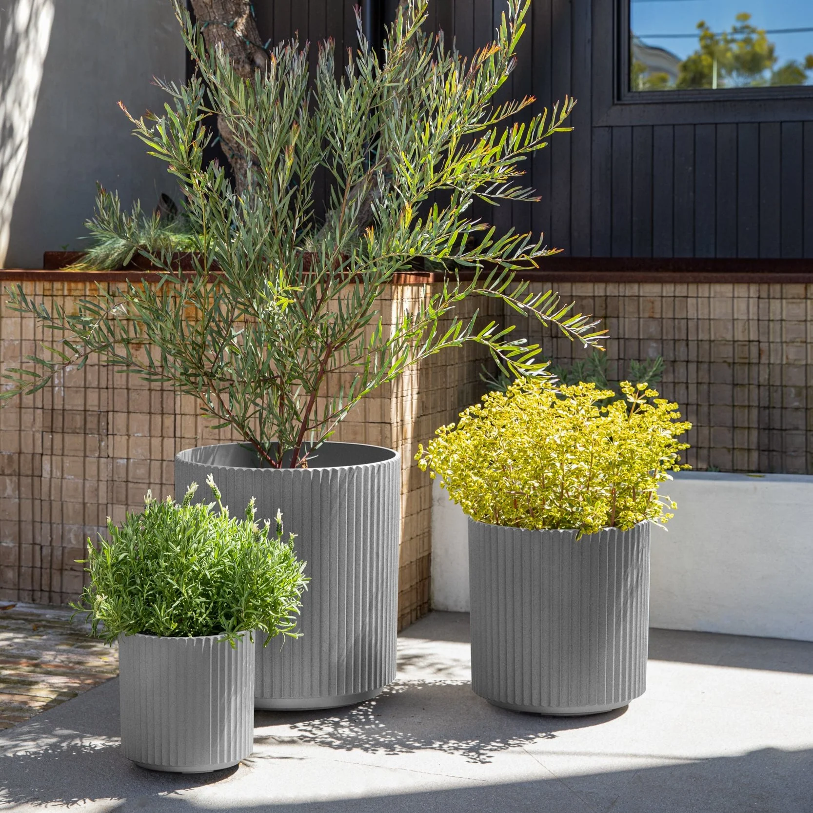 demi planter trio - Image 10