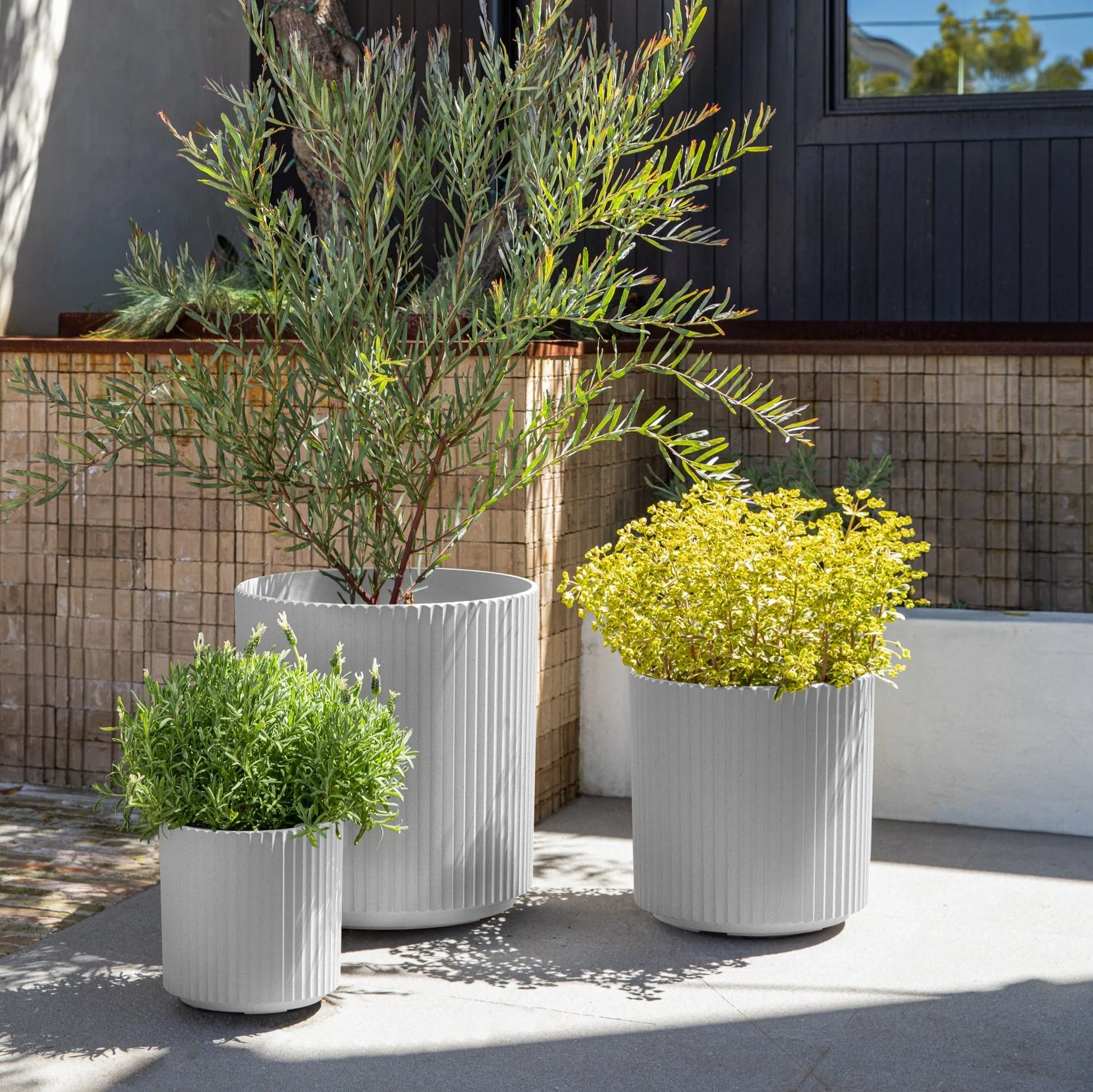 demi planter trio - Image 17