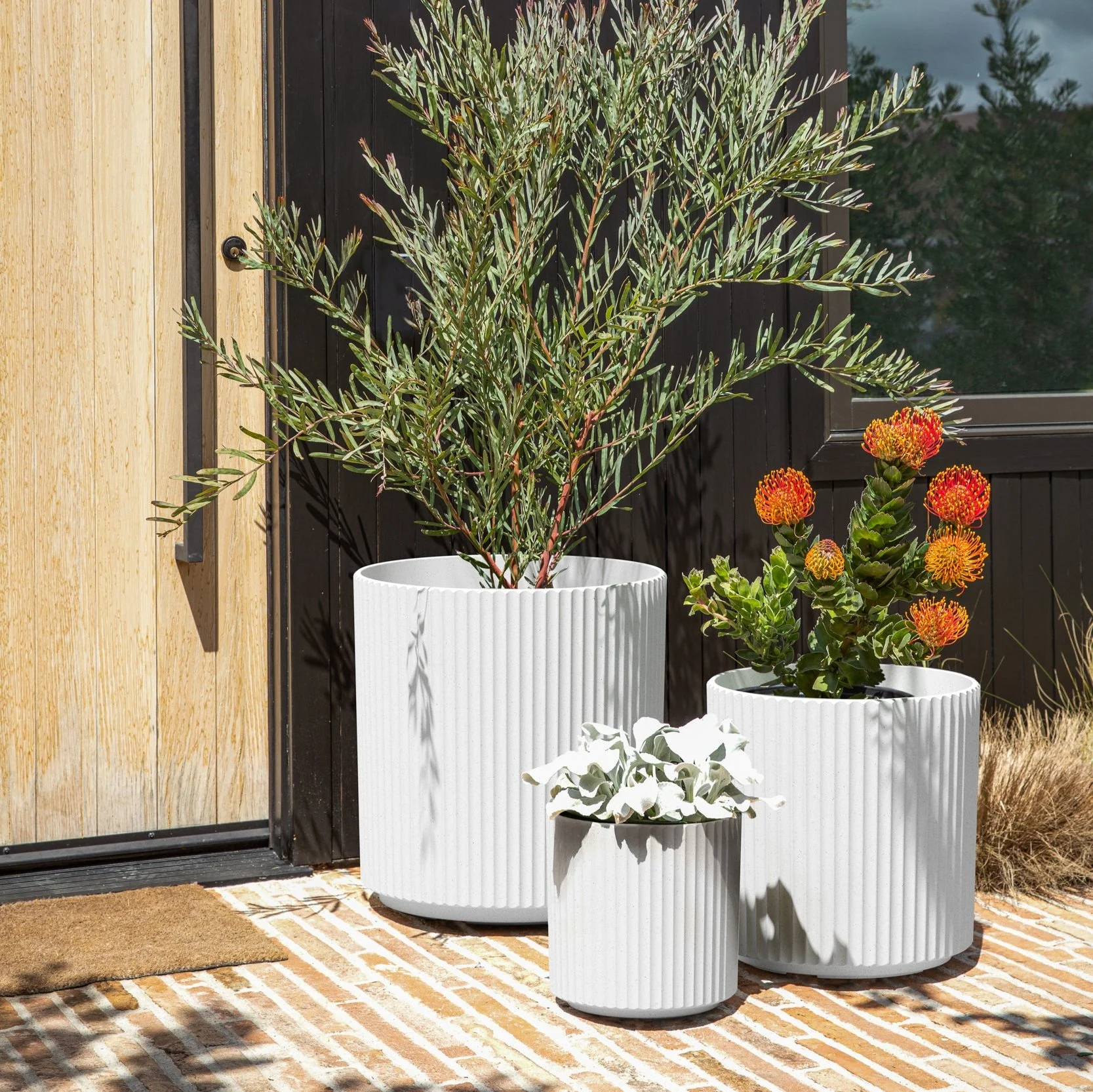 demi planter trio - Image 18