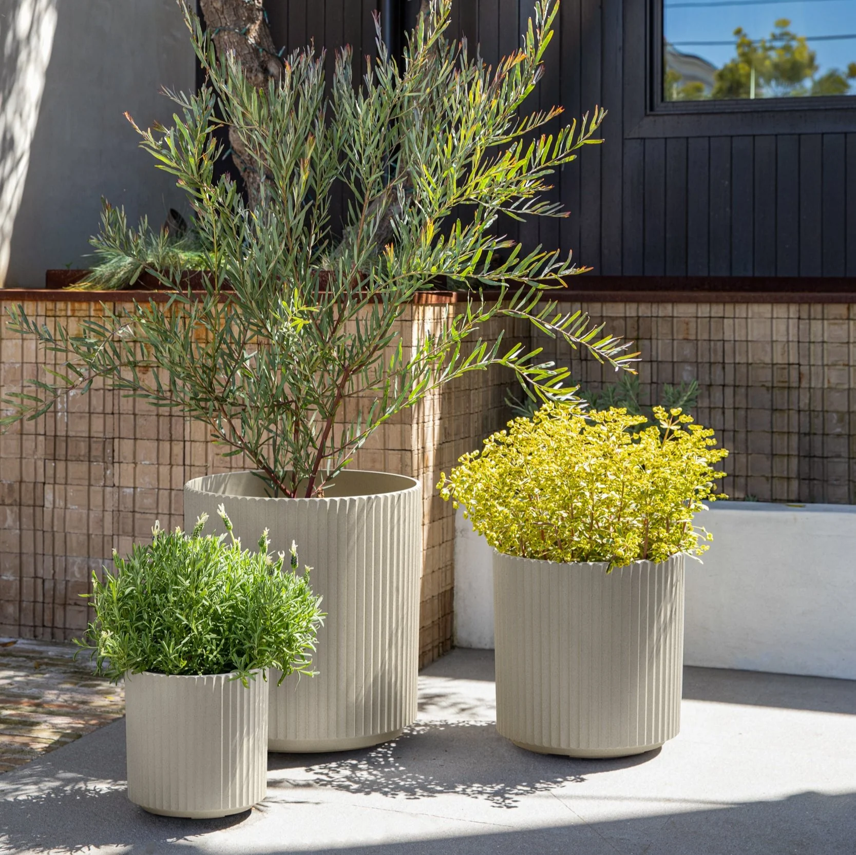 demi planter trio - Image 23