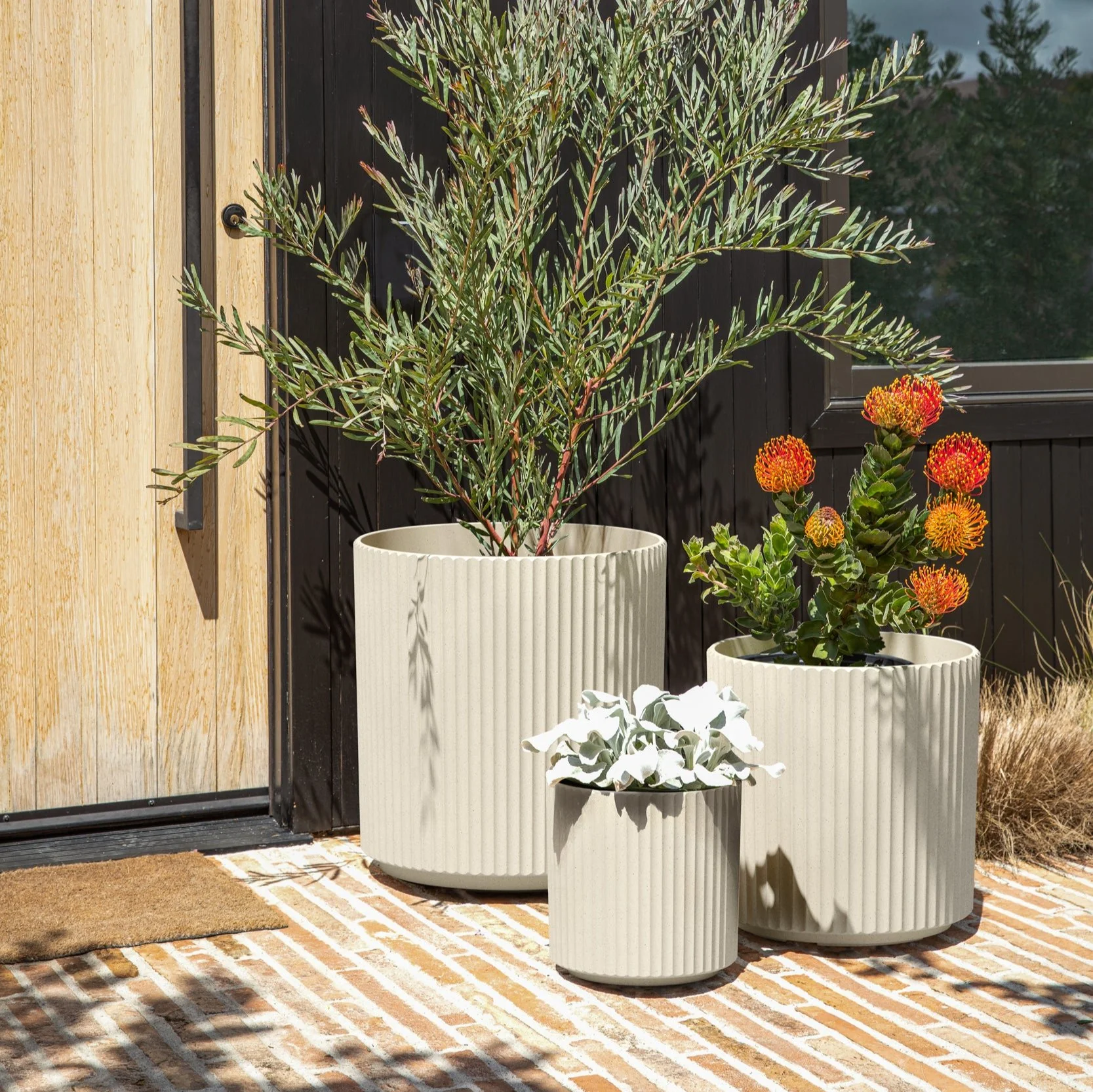 demi planter trio - Image 24