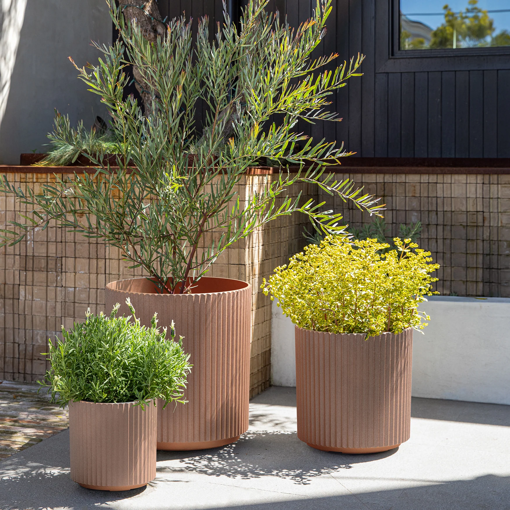 demi planter trio - Image 33