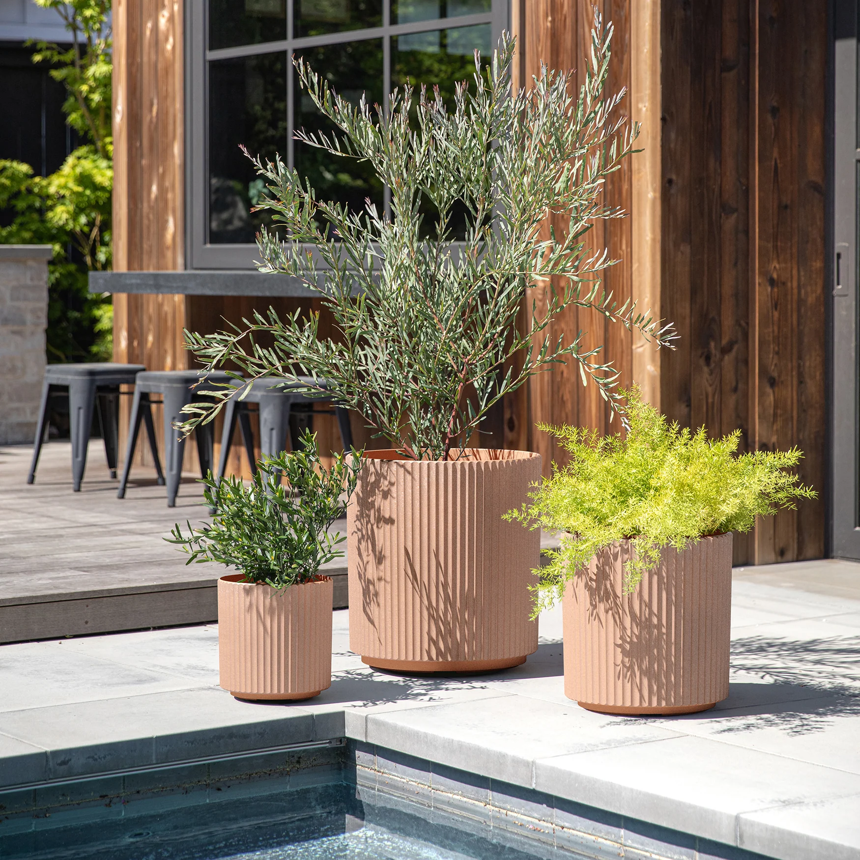demi planter trio - Image 34