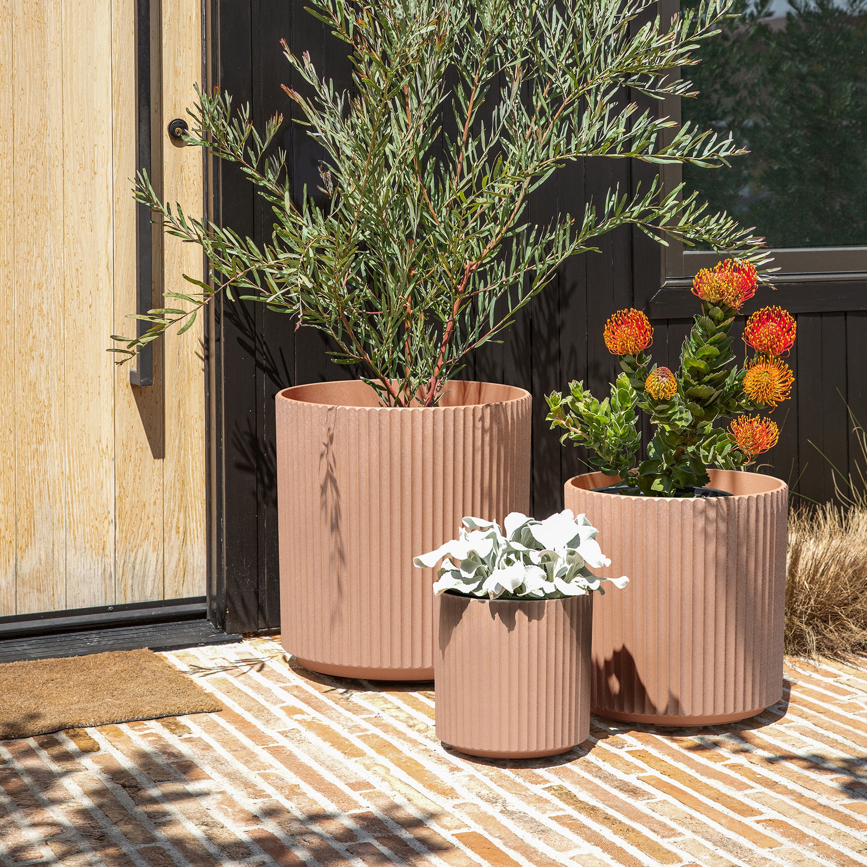 demi planter trio - Image 35