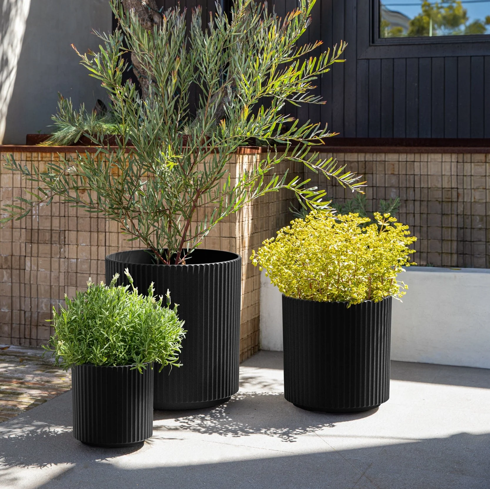 demi planter trio - Image 4