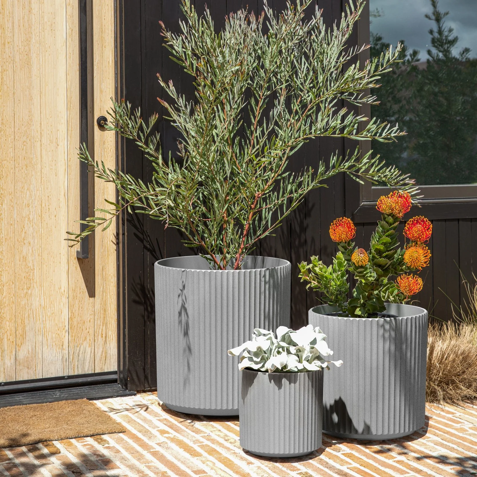 demi planter trio - Image 9