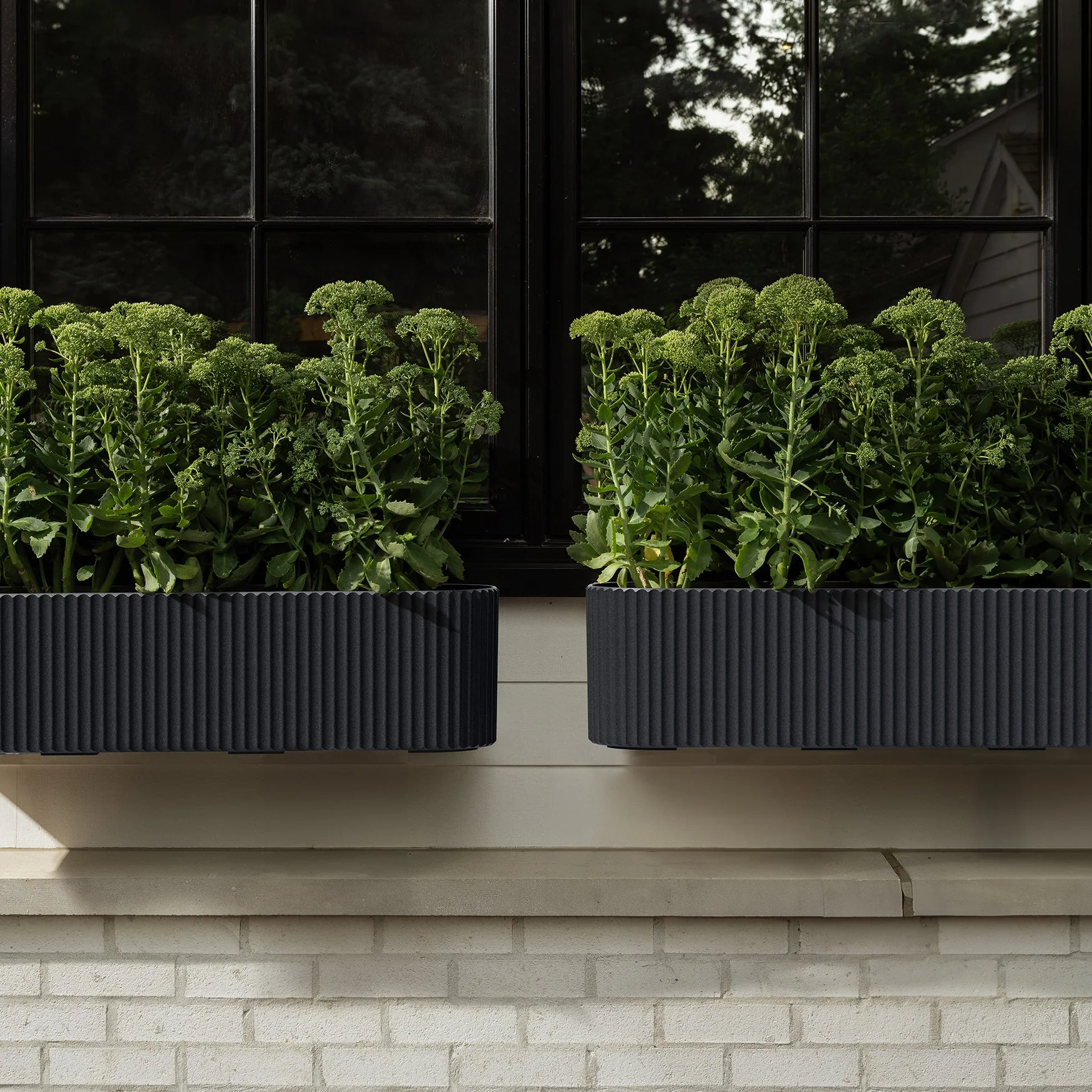 demi railing planter - Image 78