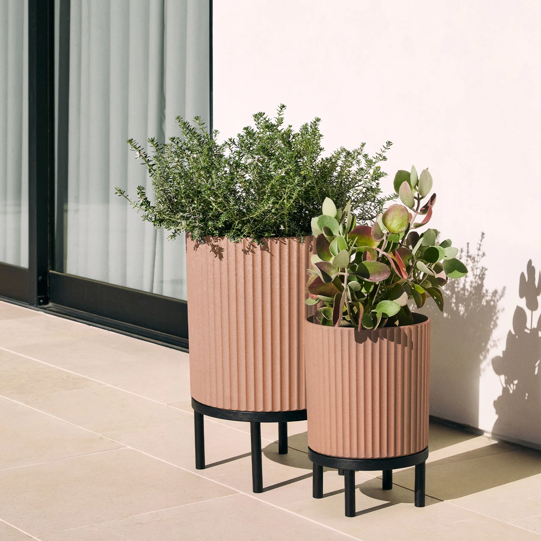 demi raised duo - Image 121